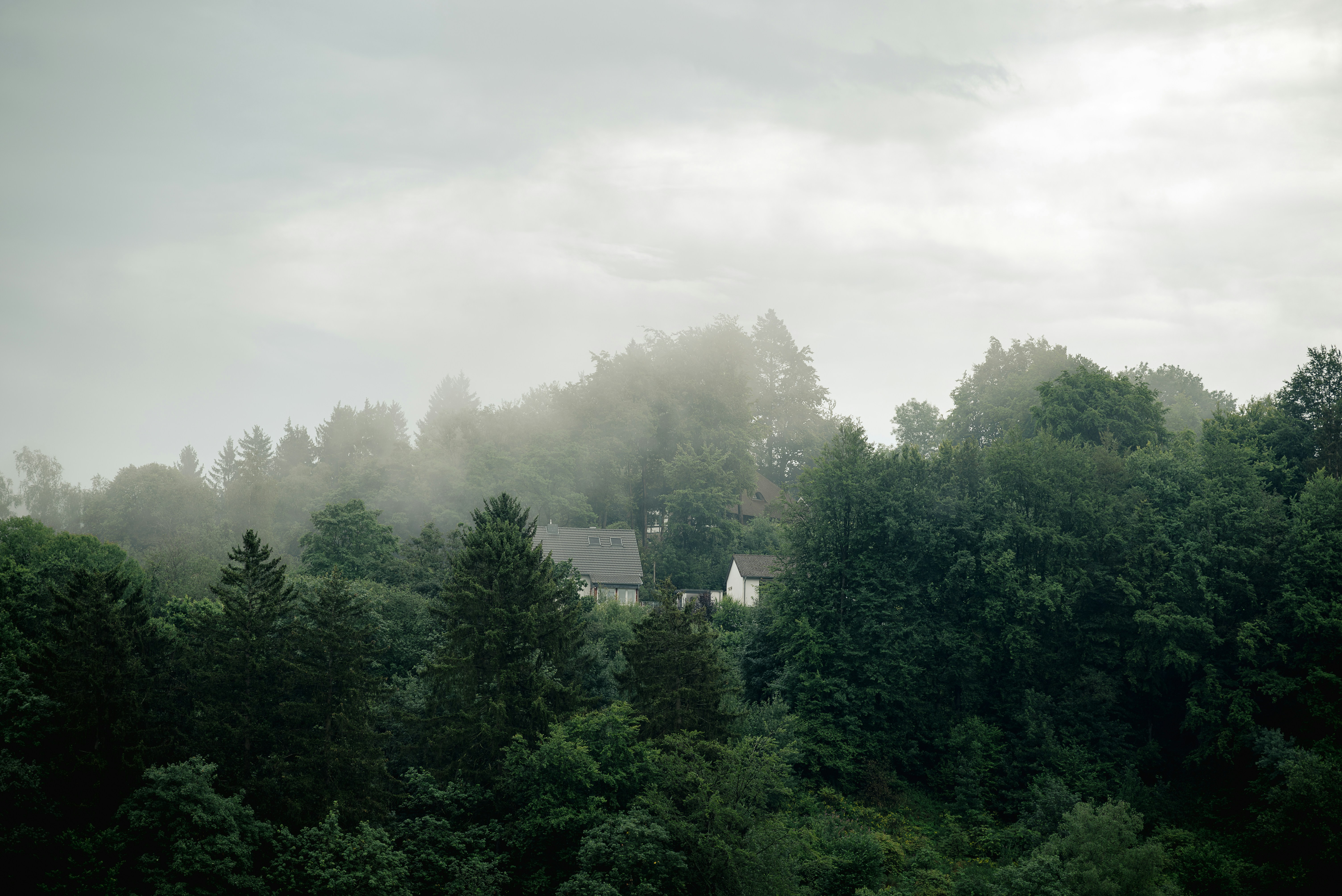 Photo by jetztabertempo