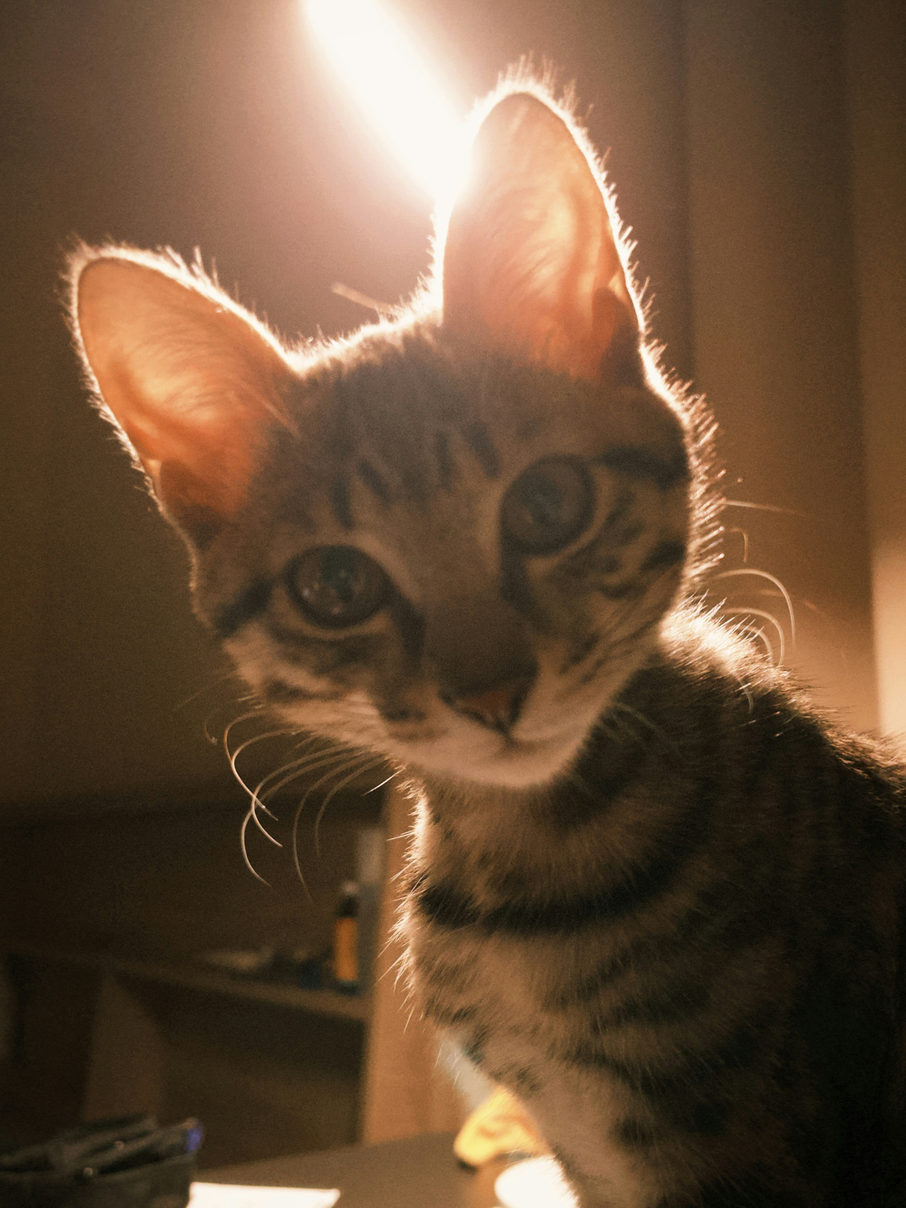 Photo by super_tseng_2k