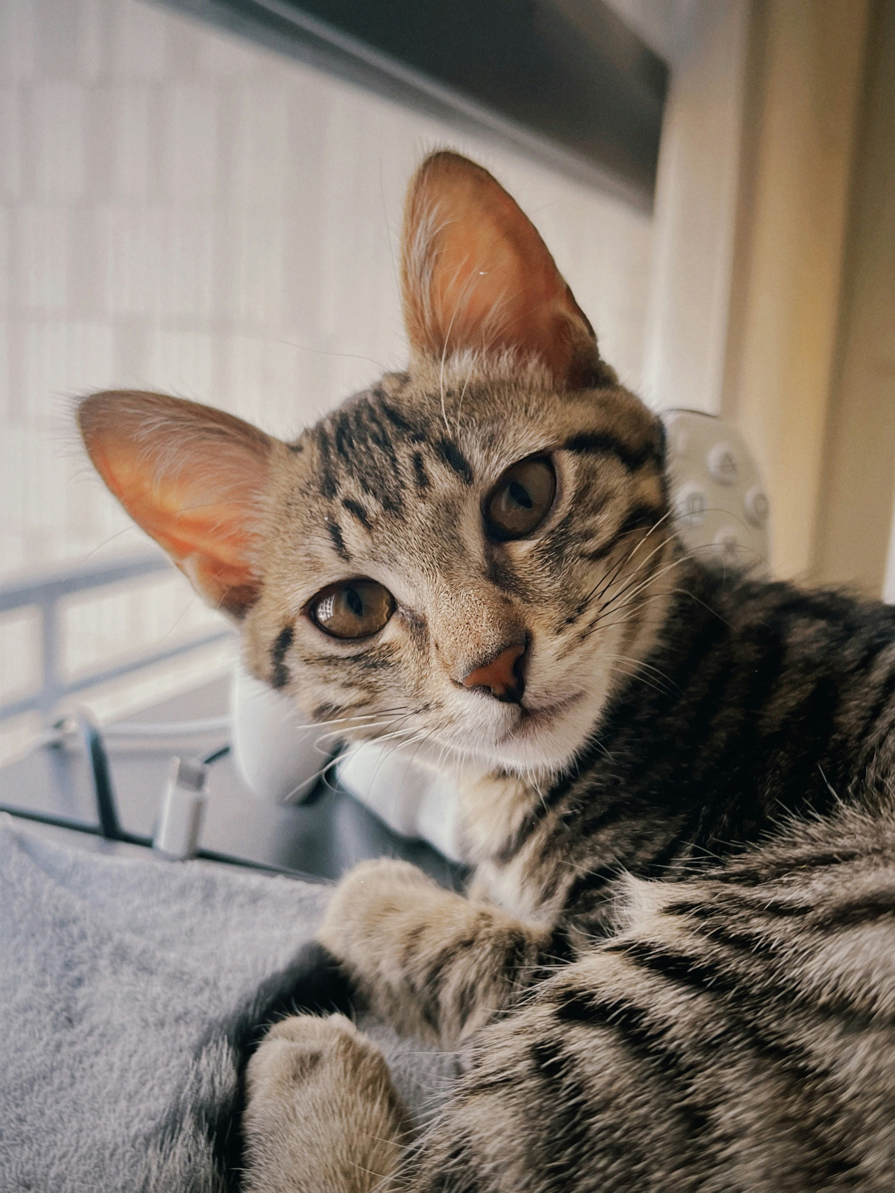 Photo by super_tseng_2k