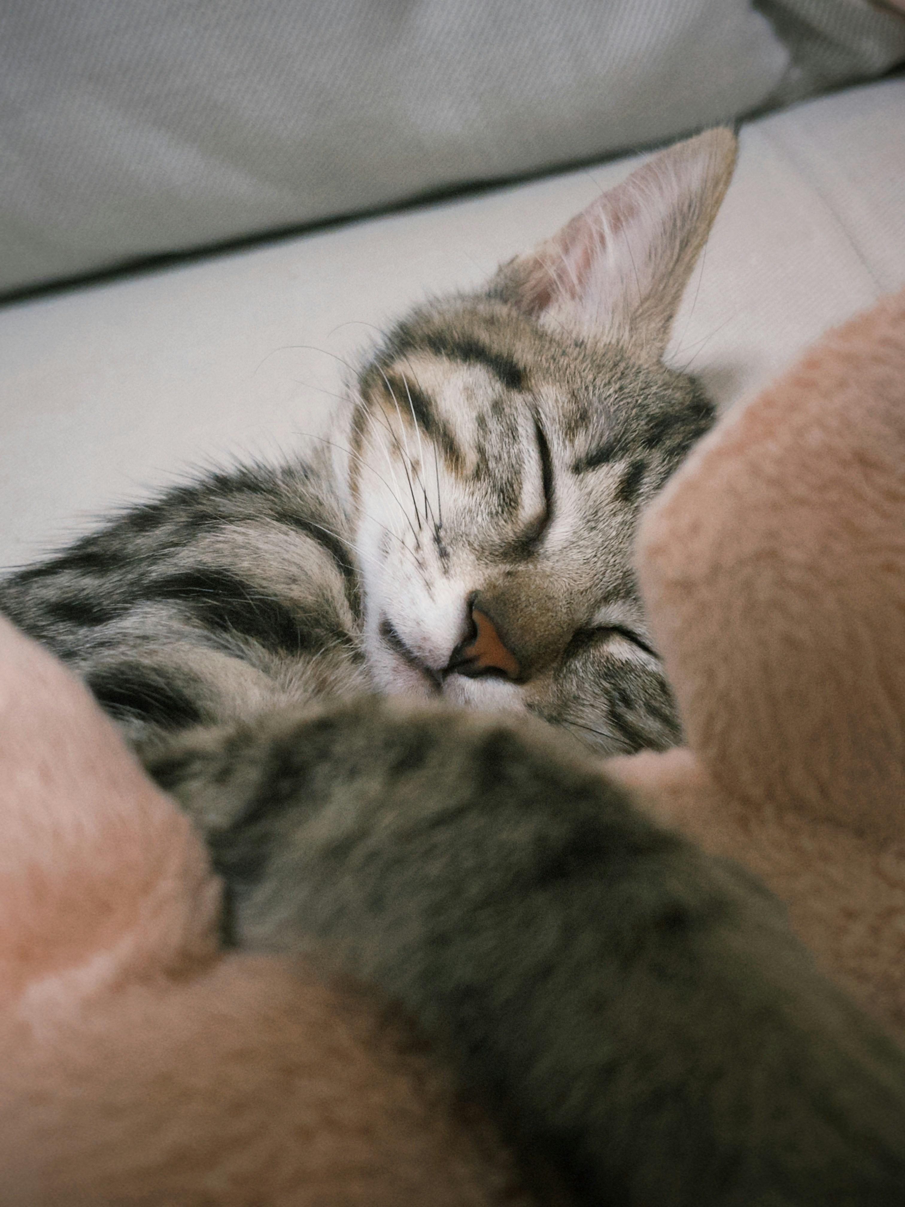 Photo by super_tseng_2k