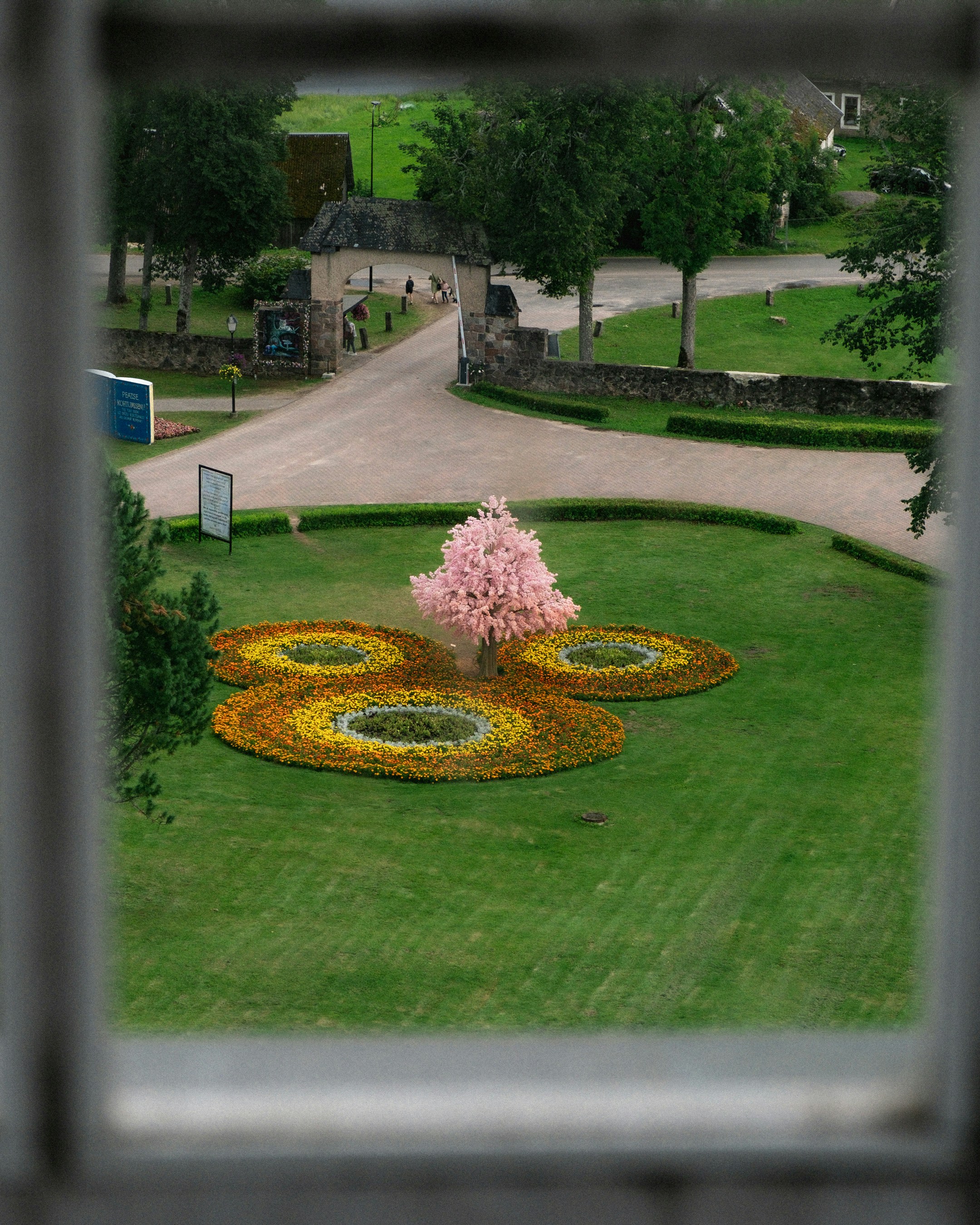 A view of a flower garden through a window