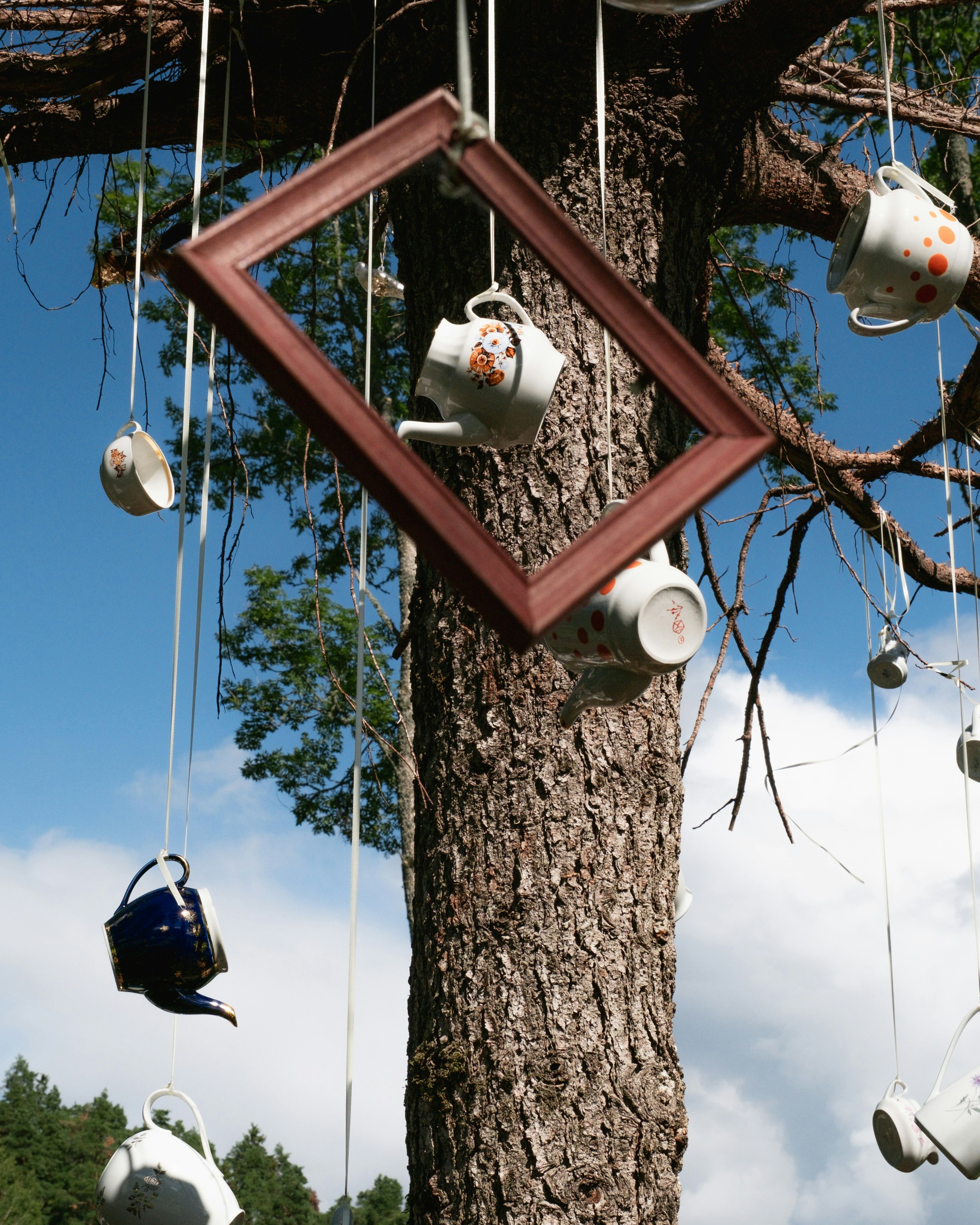 A tree with tea cups hanging from it's branches photo – Free Frame ...