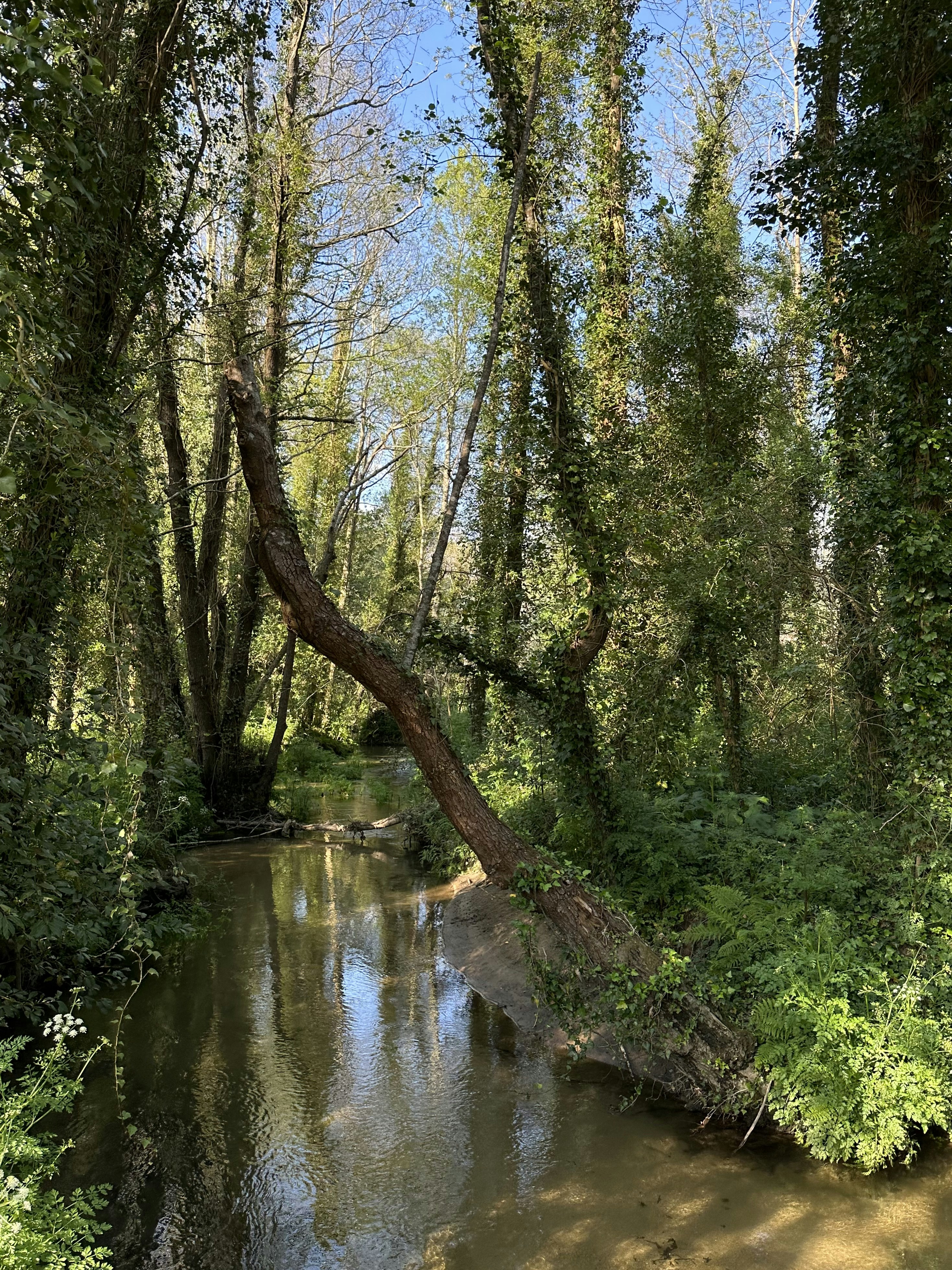 Photo by sergei_gussev