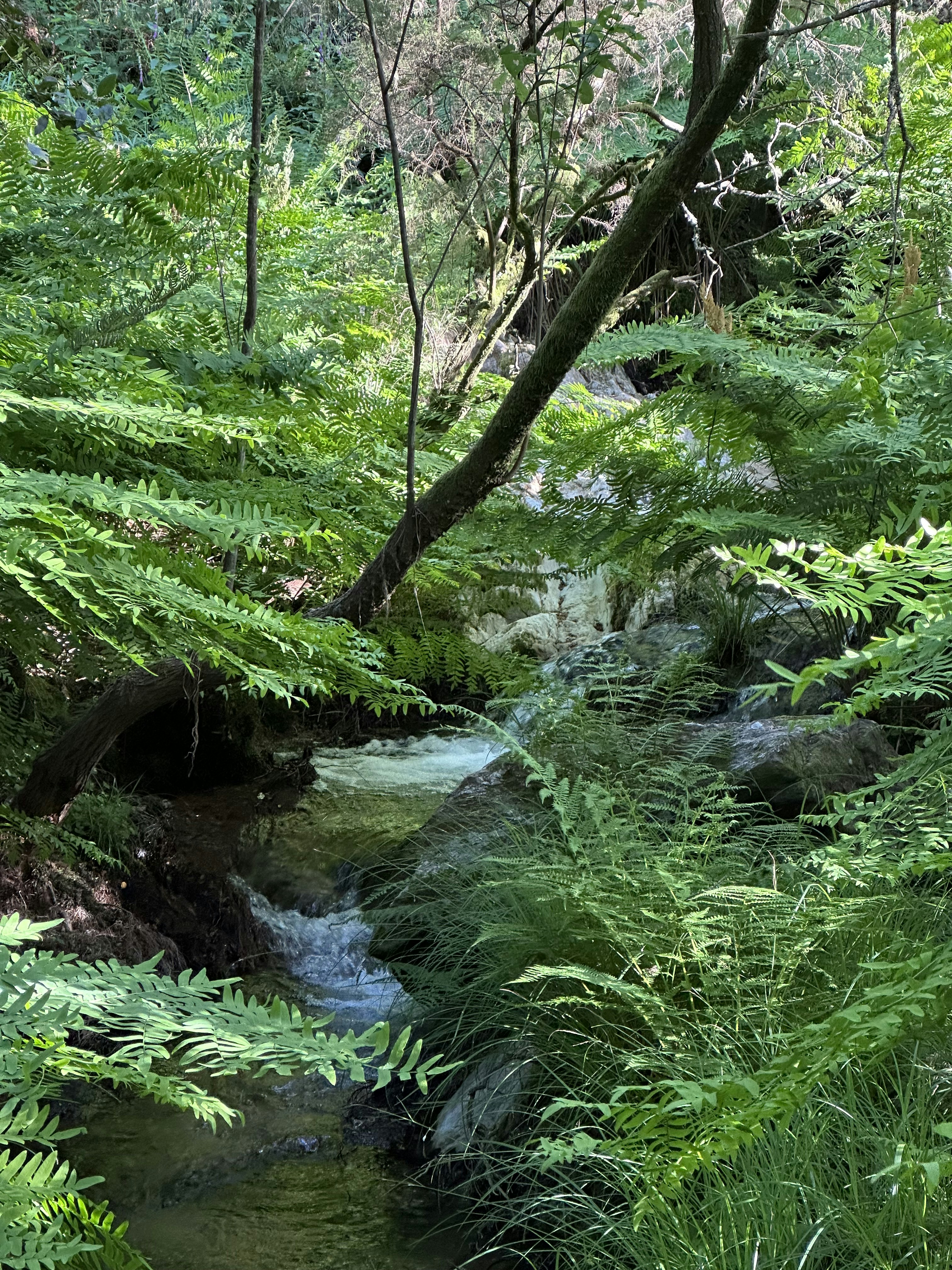 Photo by sergei_gussev