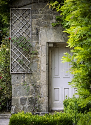 A stone building with a white door surrounded by greenery