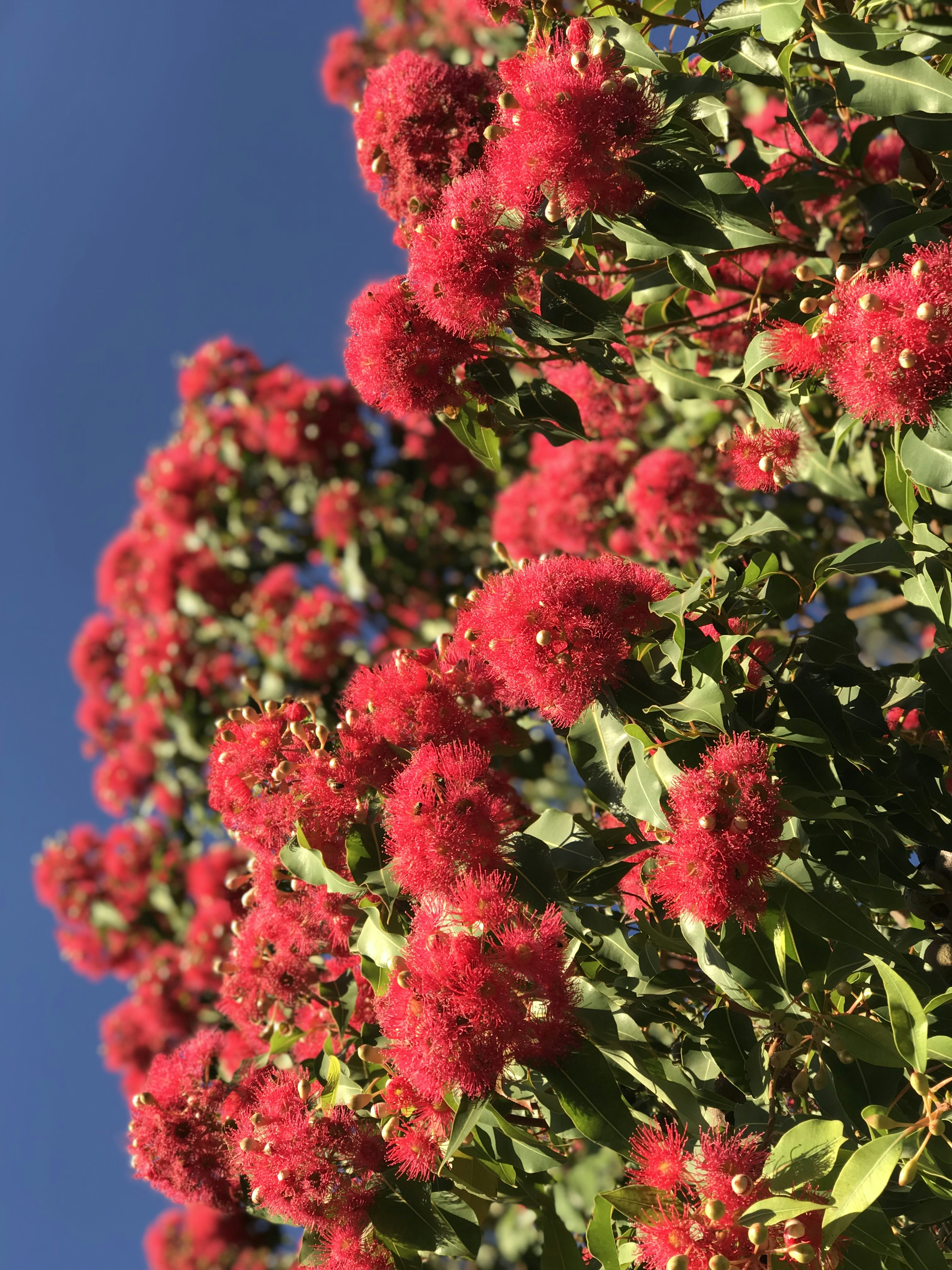 Photo by cam_cameras