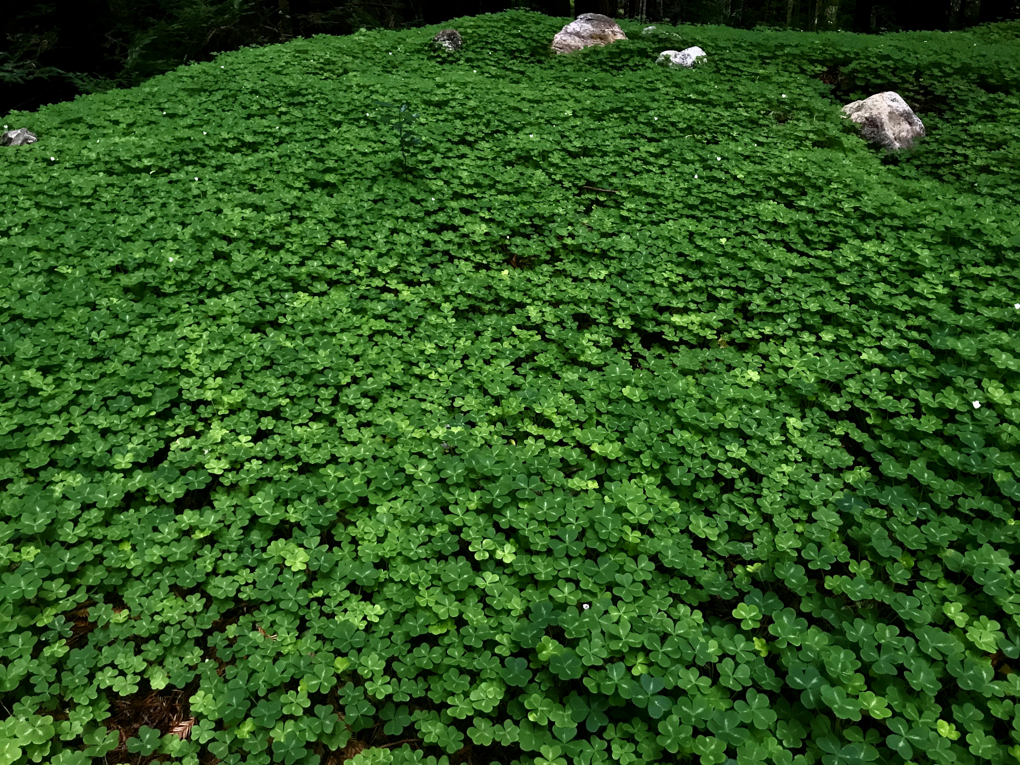 Photo by cam_cameras