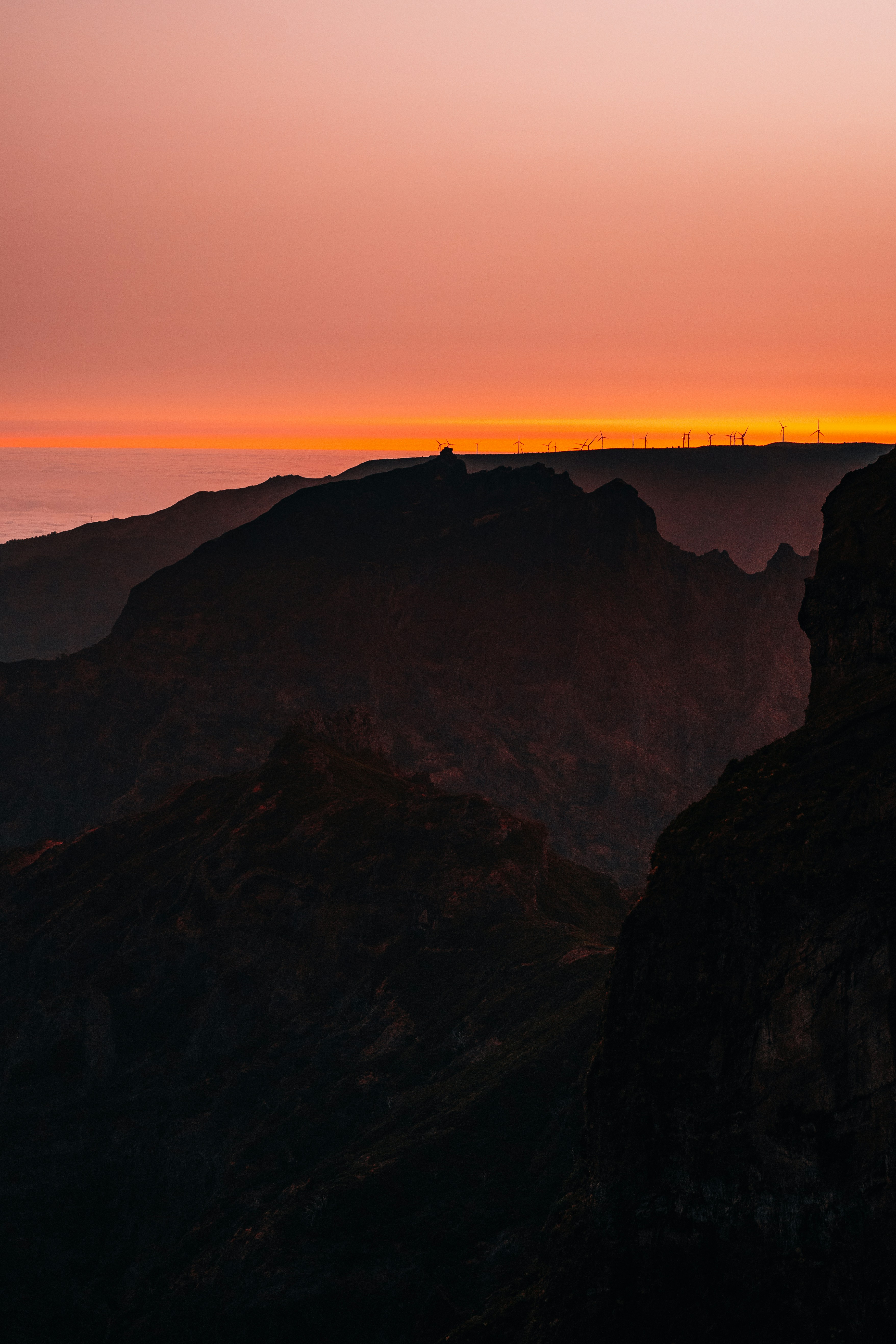 Photo by watchelijah