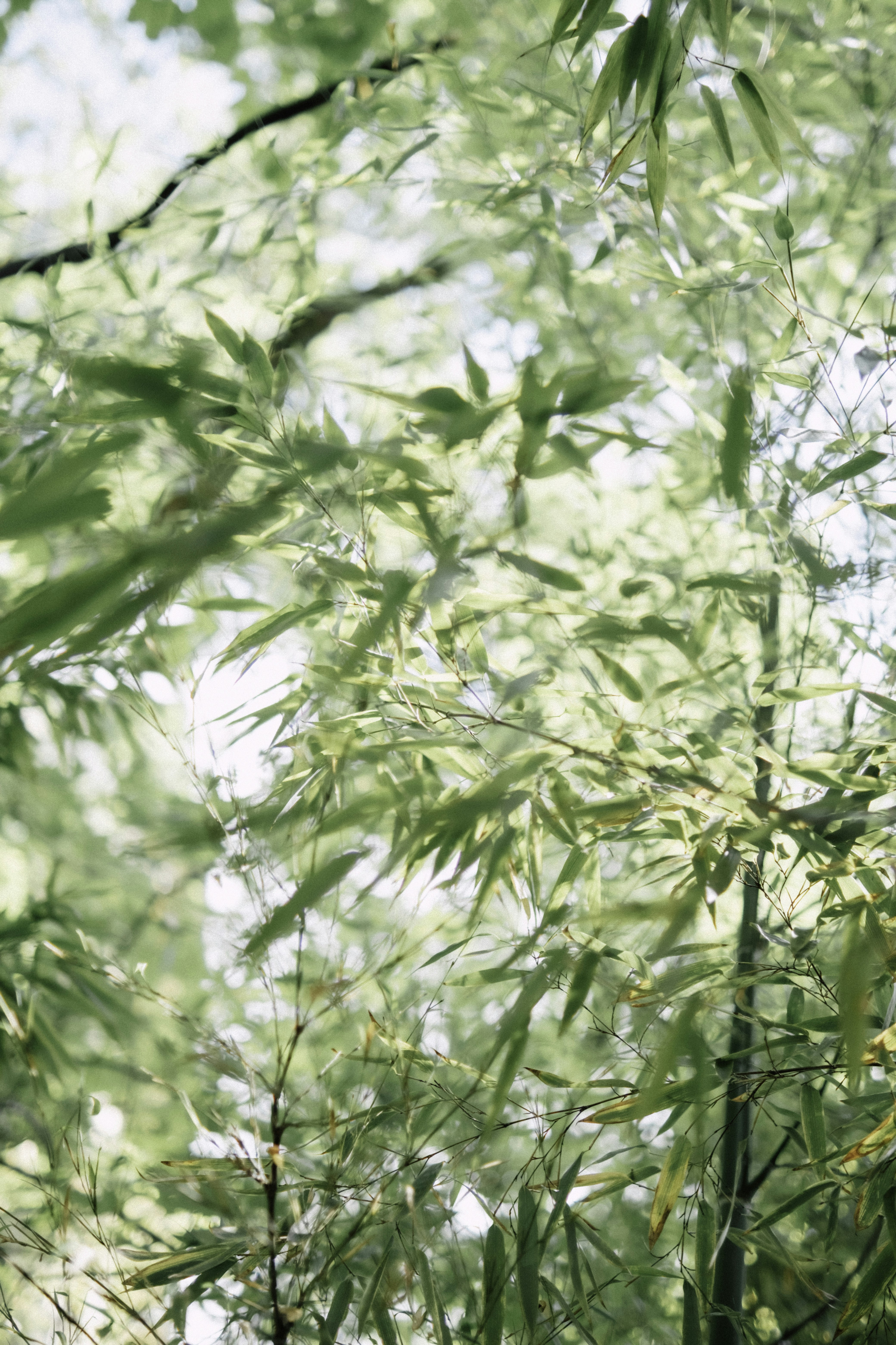 Photo by martin_siblik