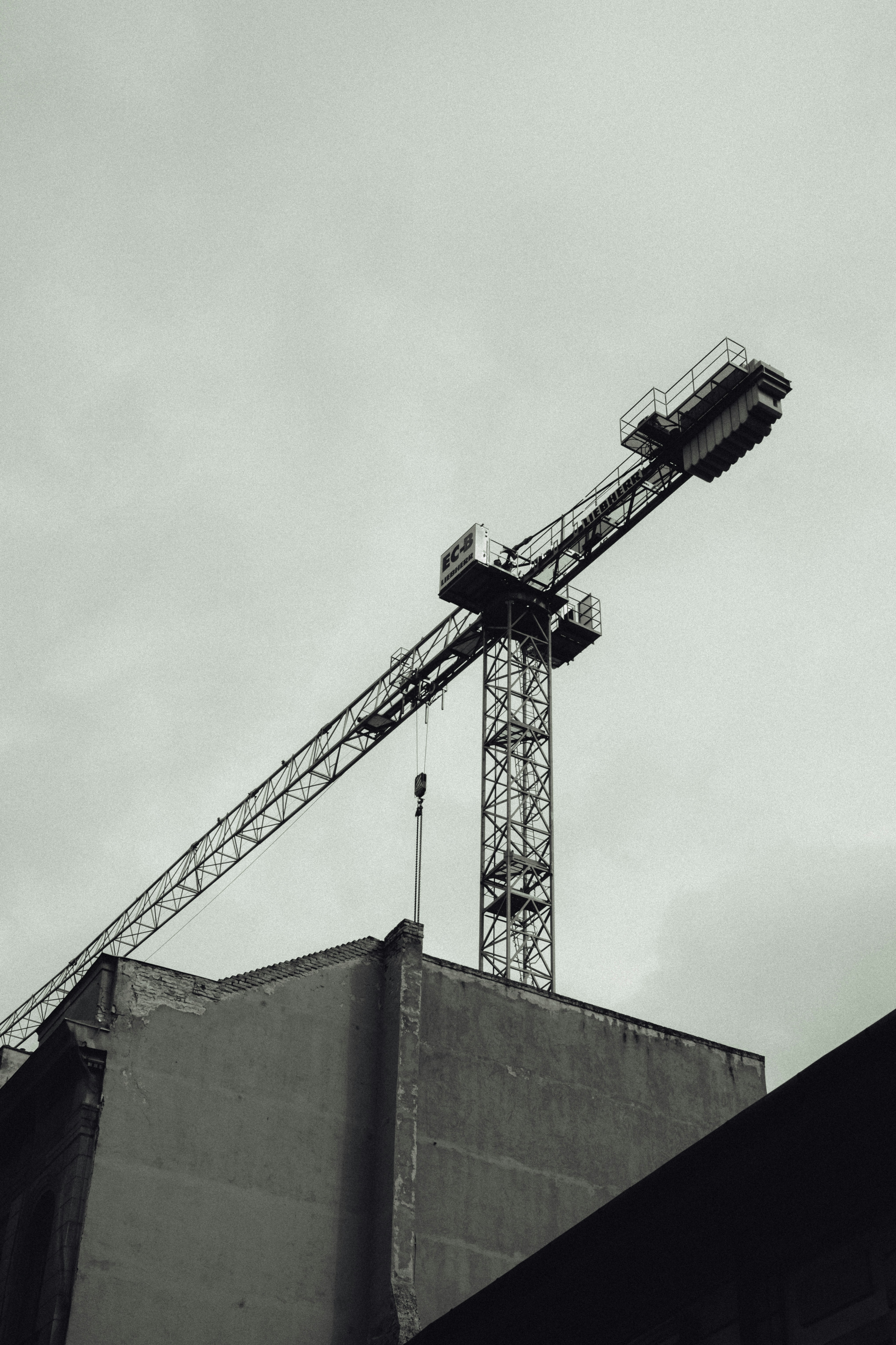 Photo by martin_siblik