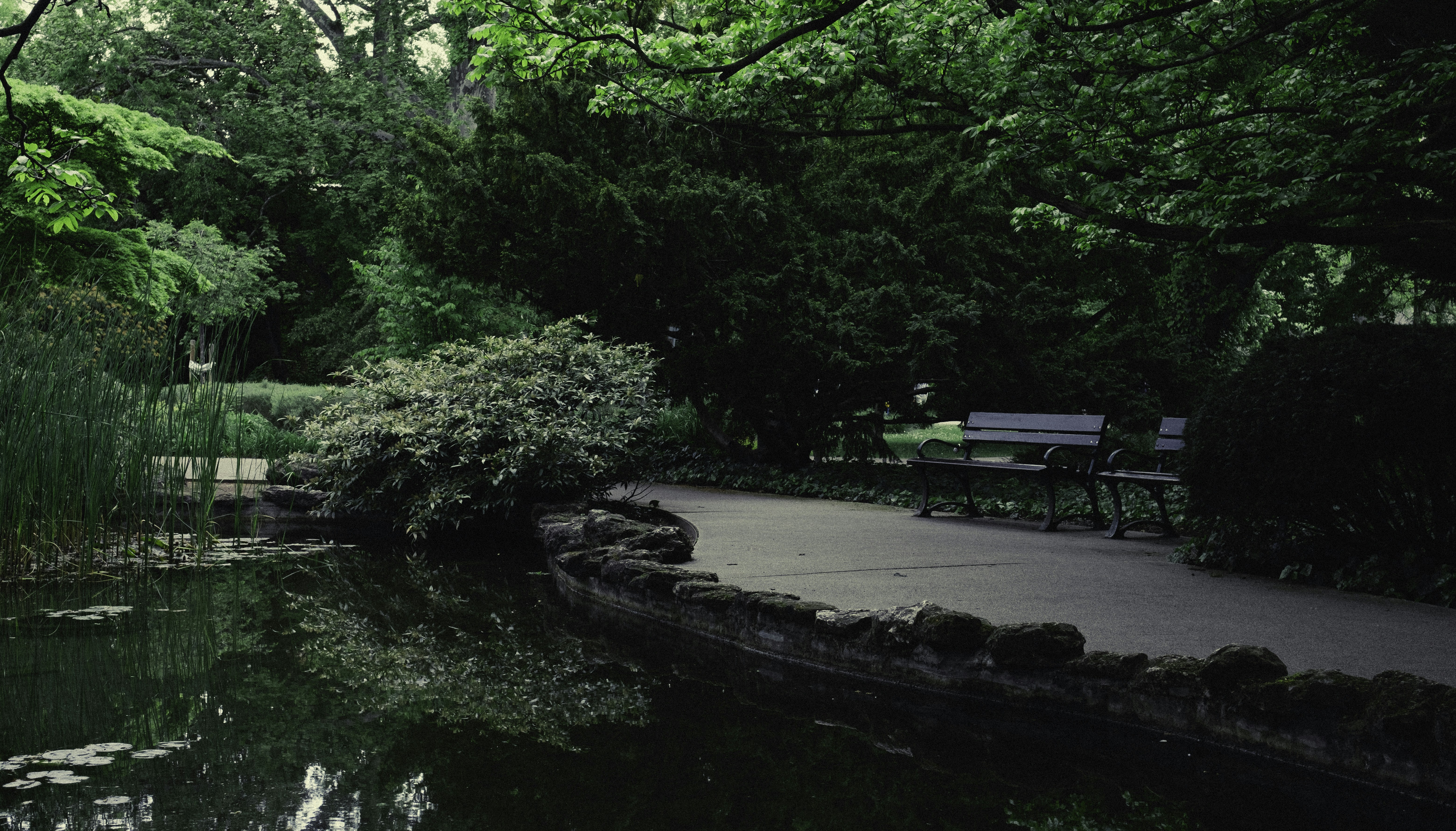 Photo by martin_siblik