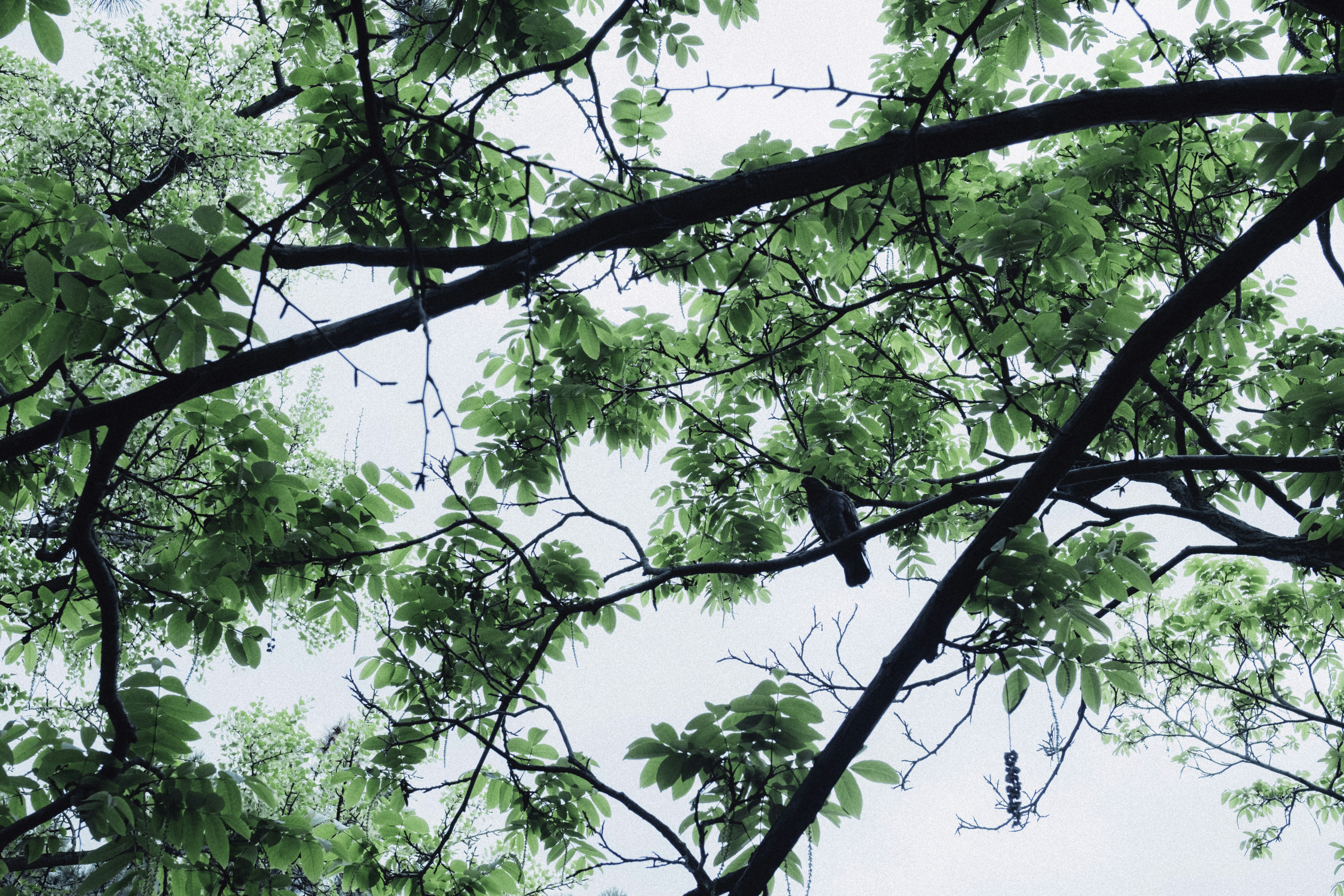 Photo by martin_siblik