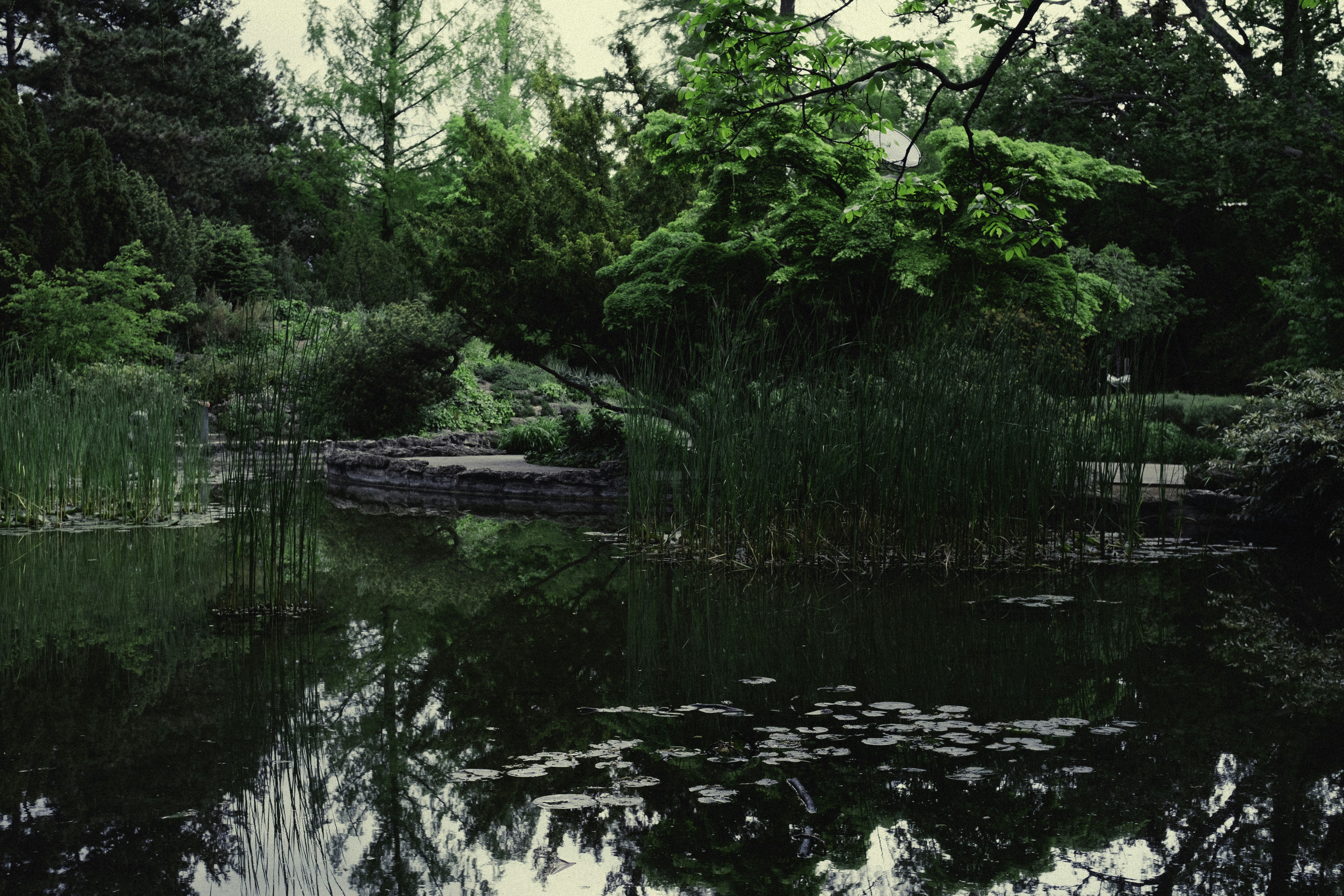 Photo by martin_siblik