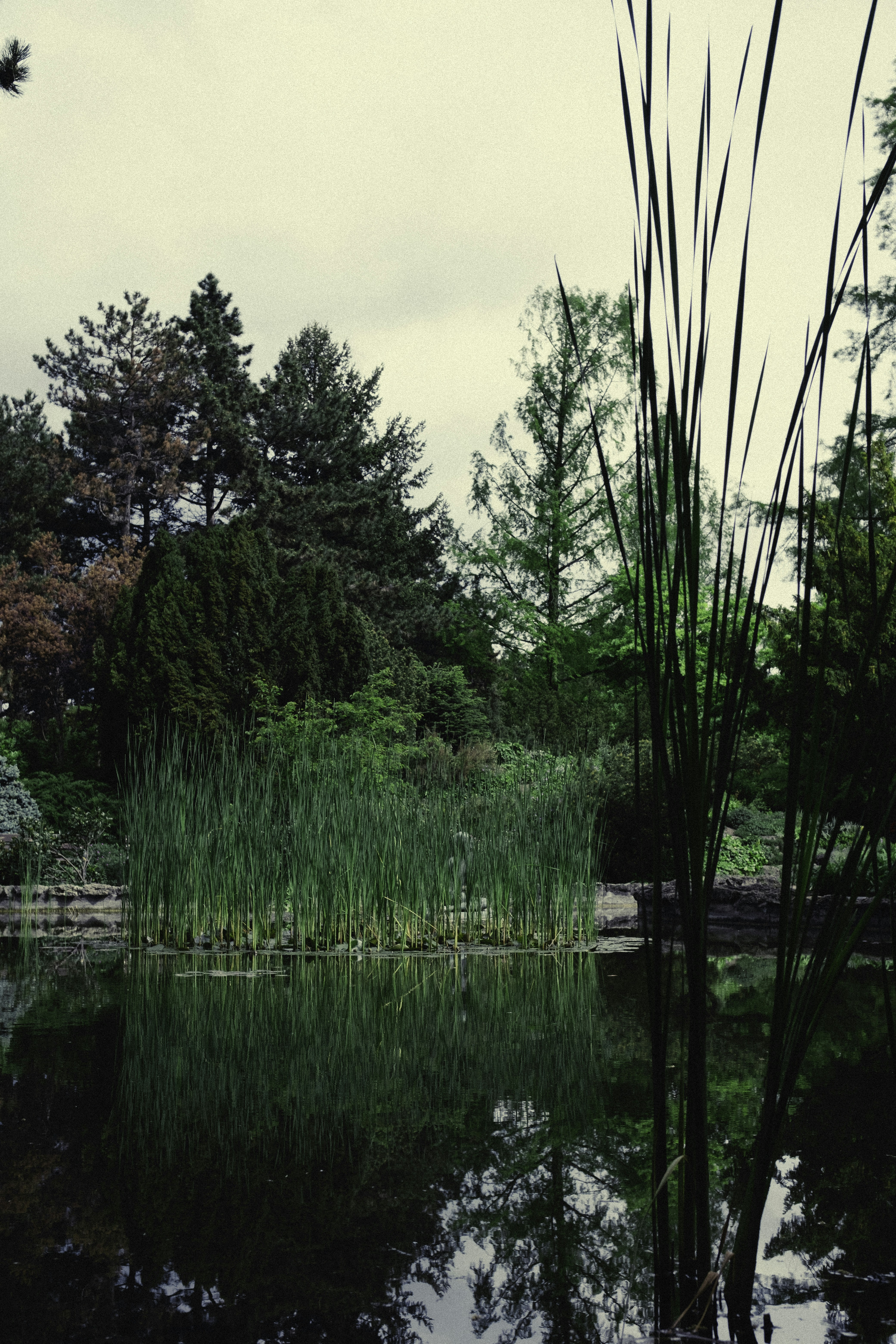 Photo by martin_siblik