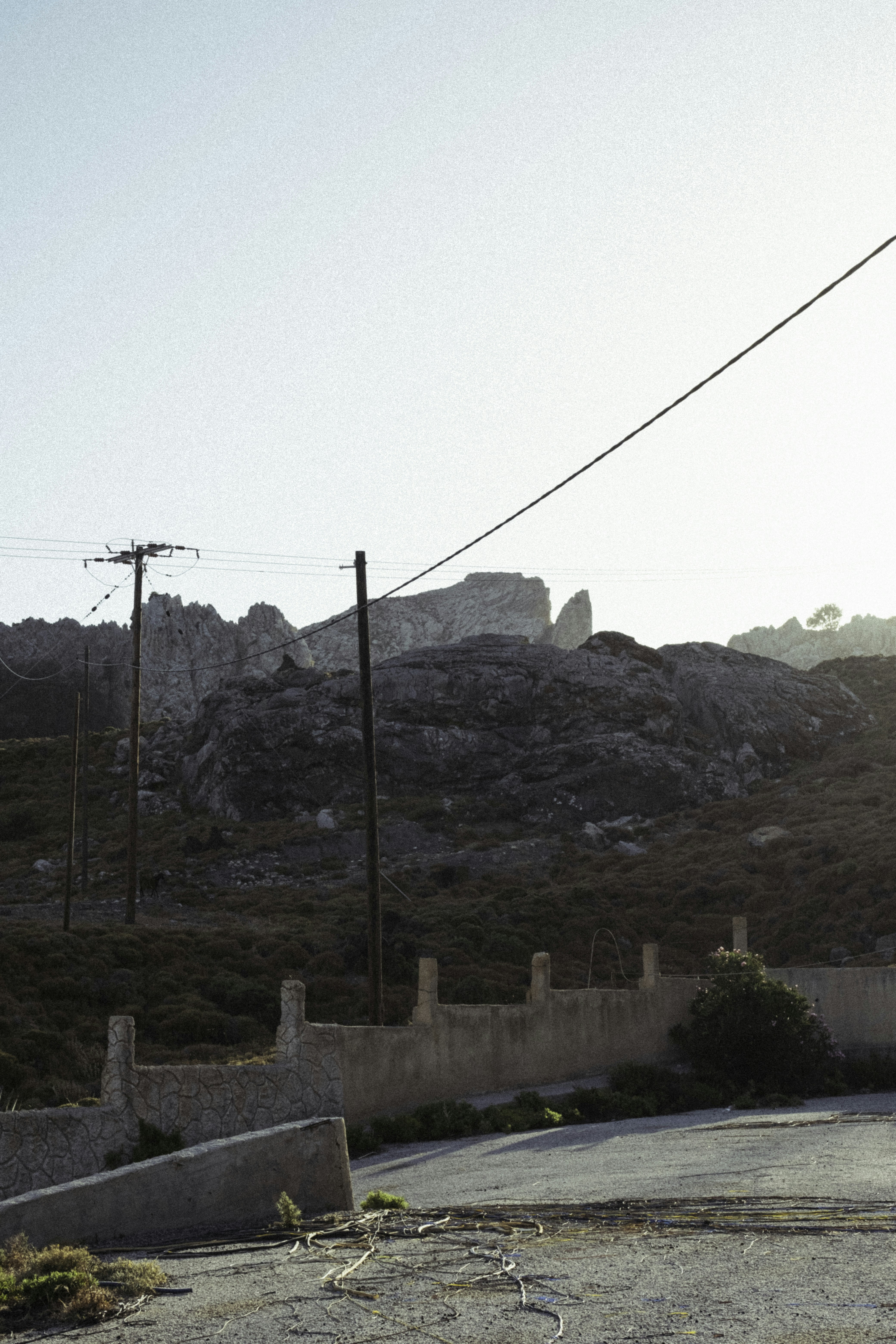 Photo by martin_siblik