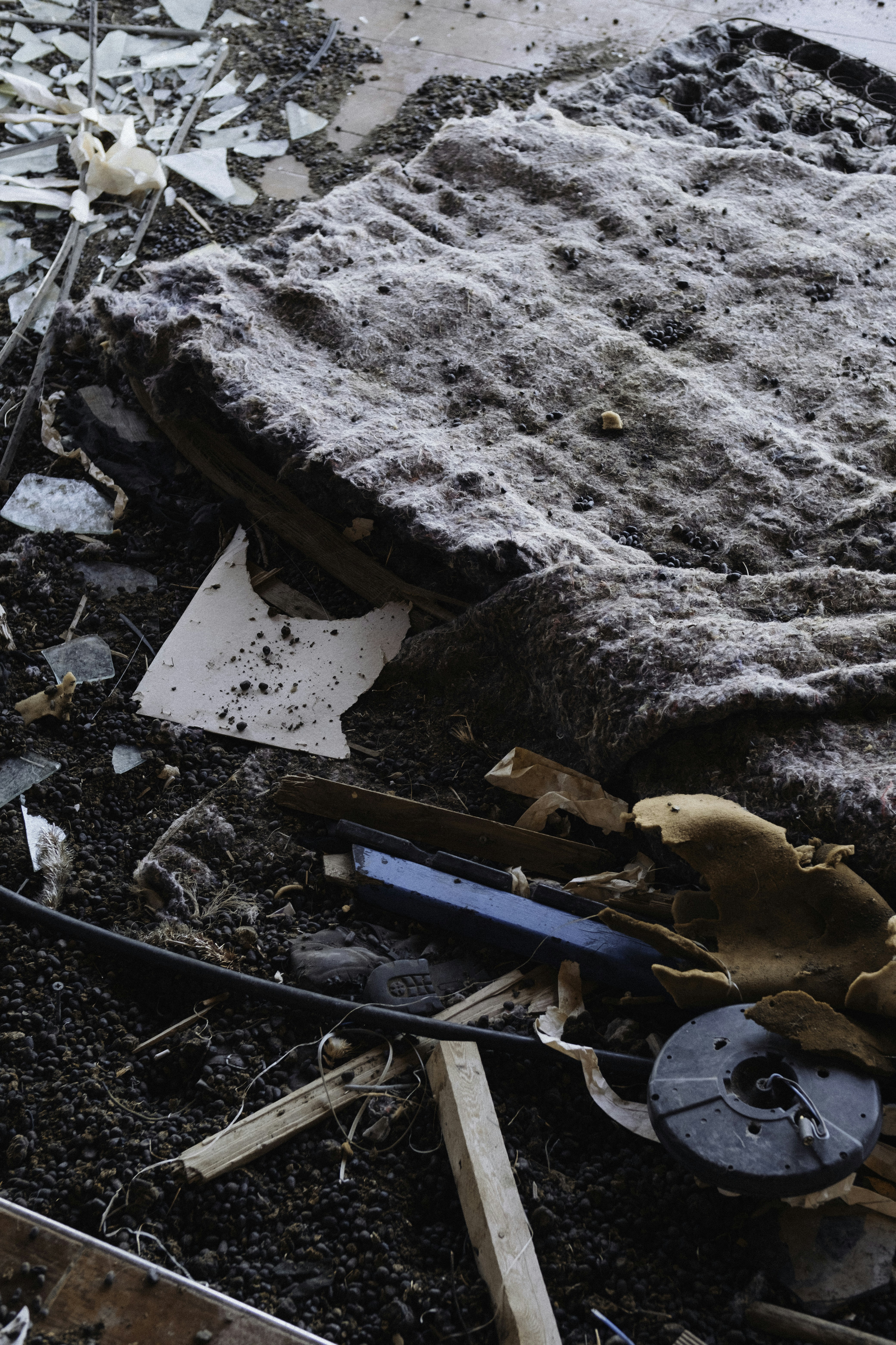 Photo by martin_siblik