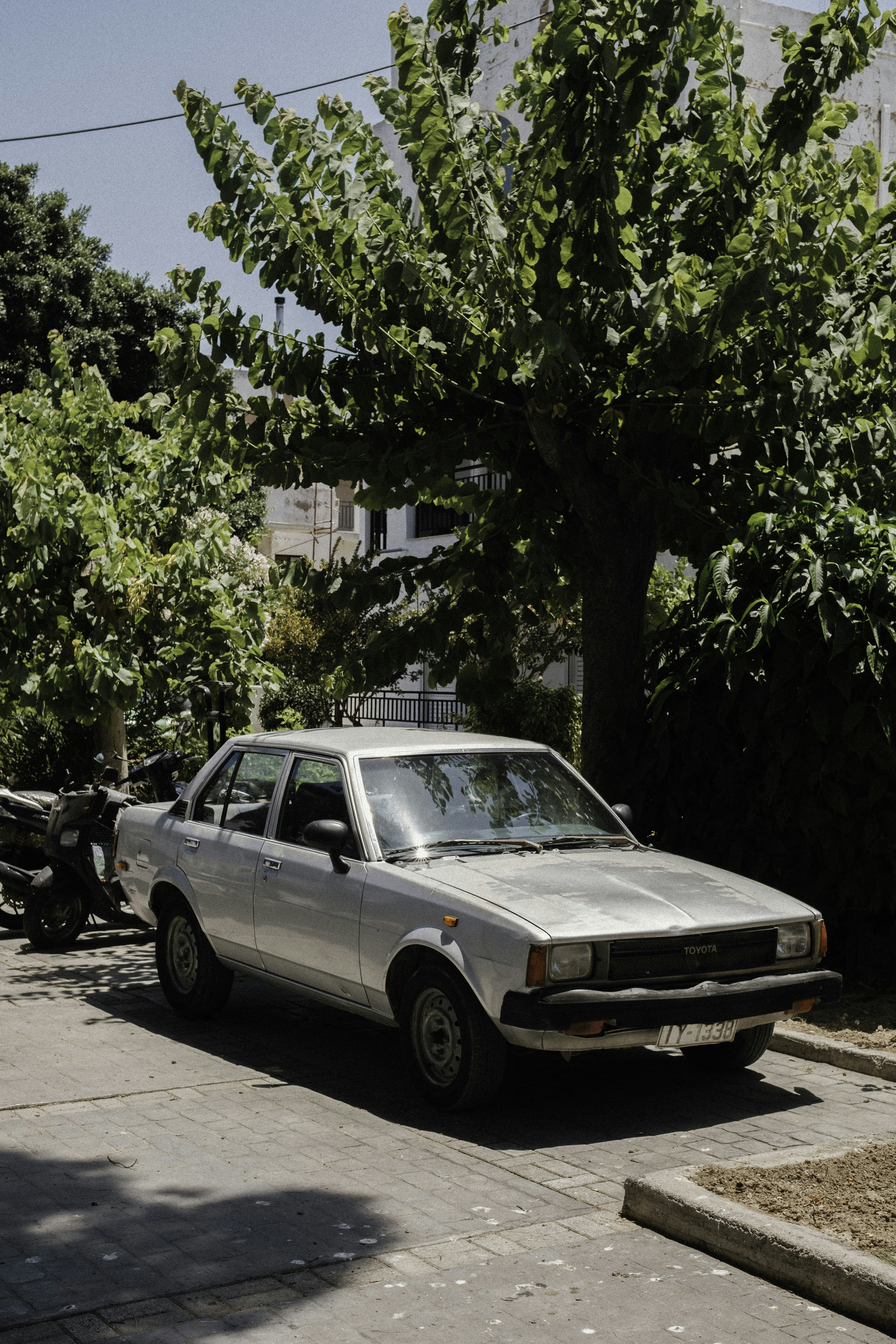 Photo by martin_siblik