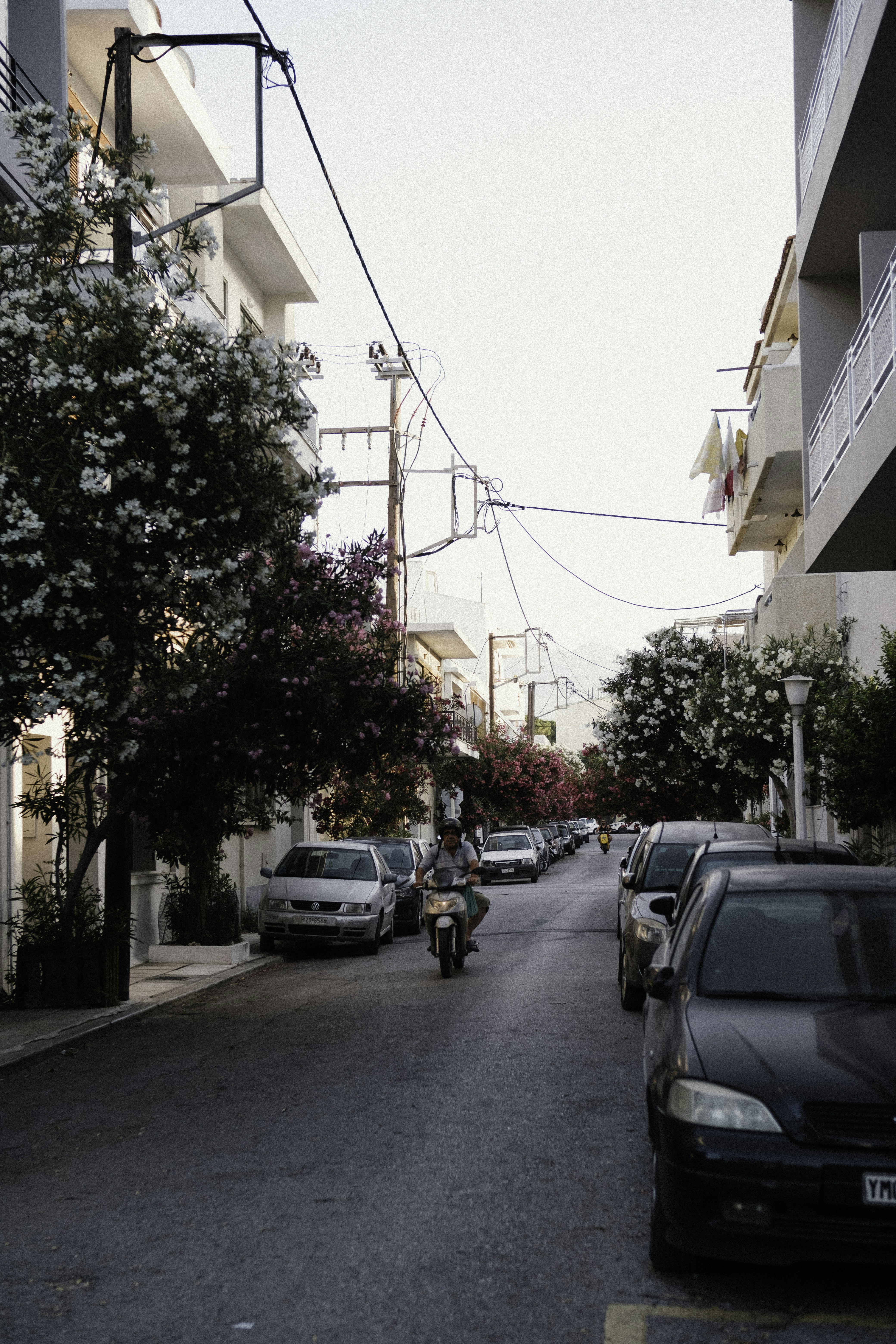 Photo by martin_siblik