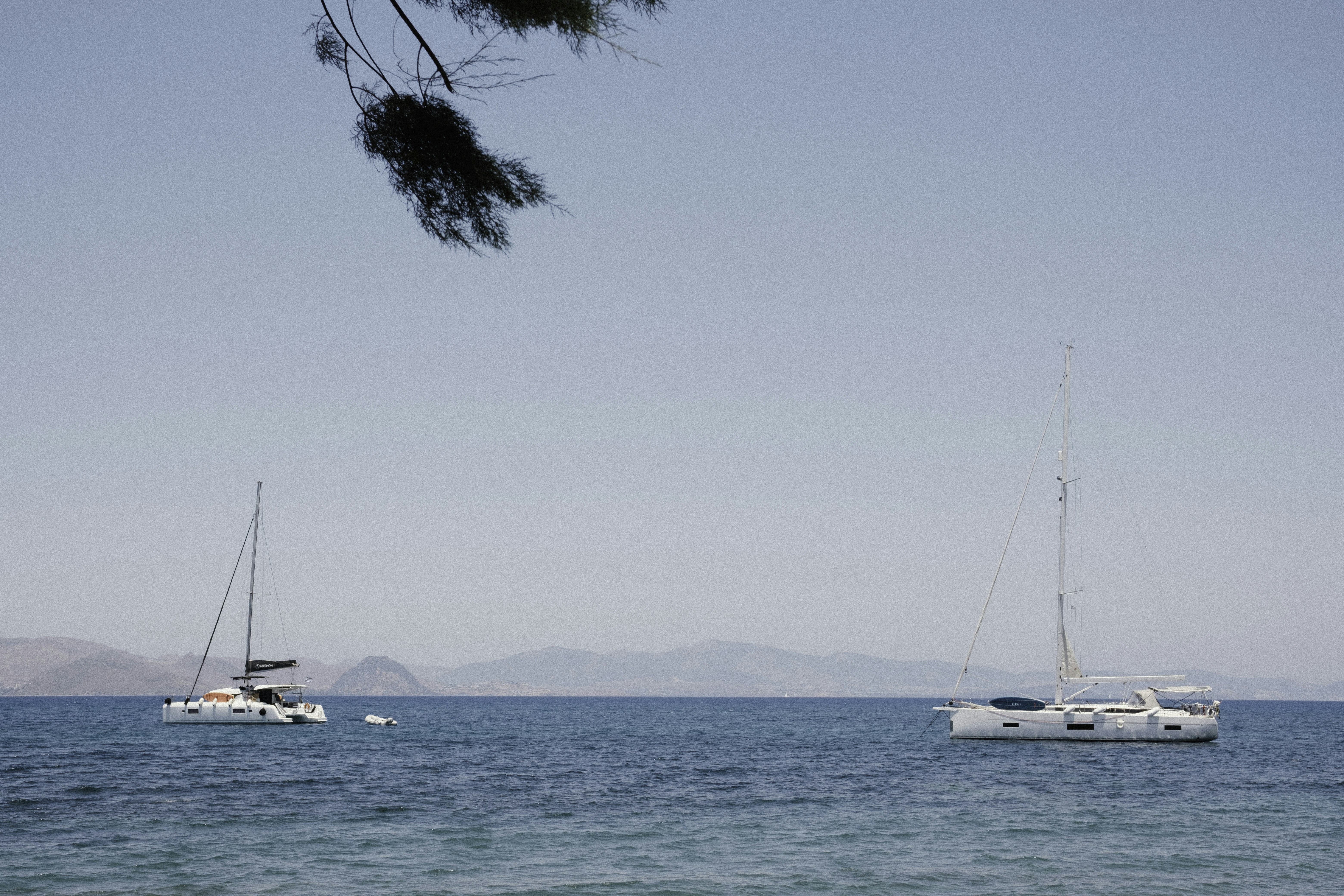 Photo by martin_siblik