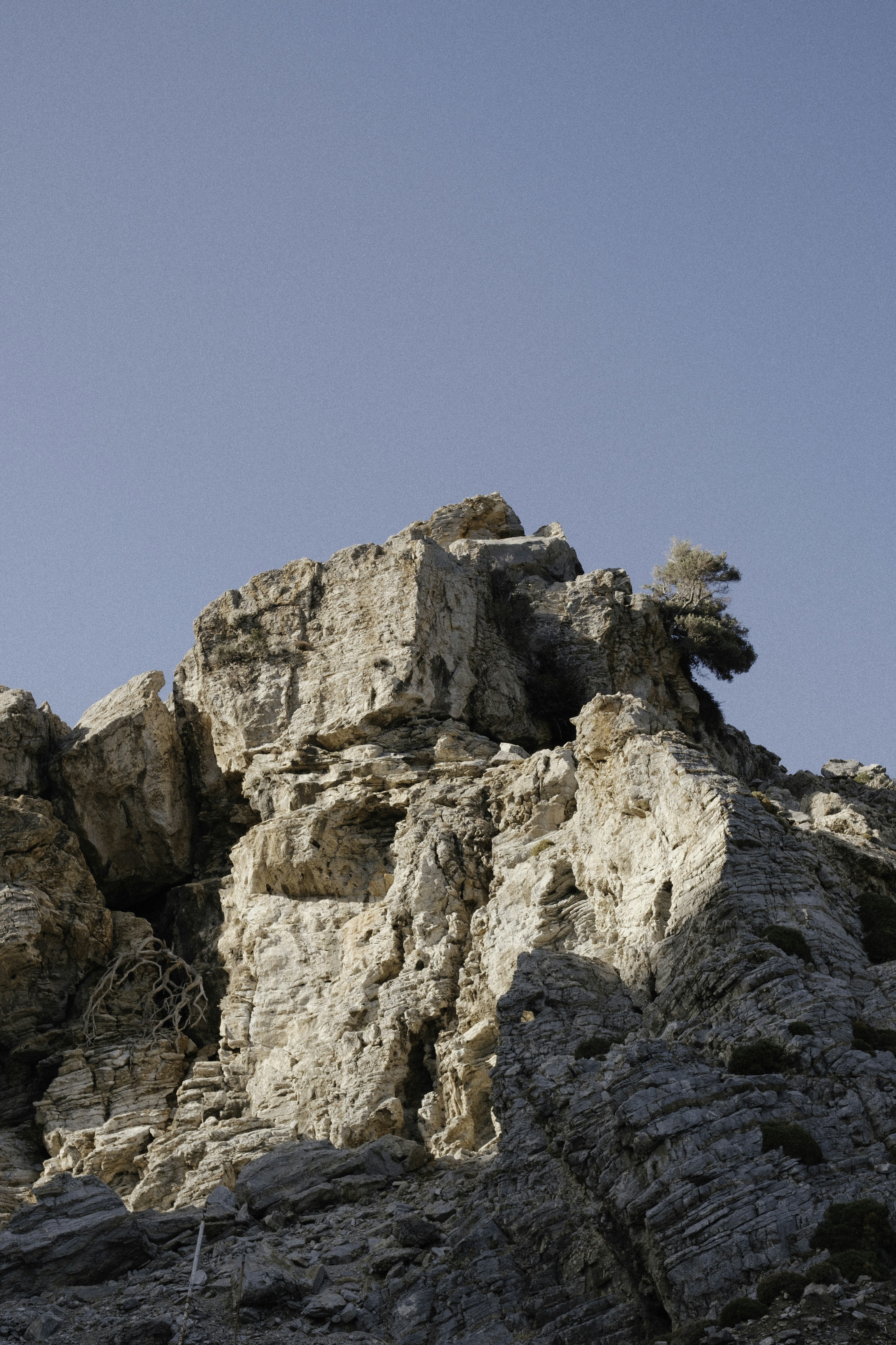 Photo by martin_siblik