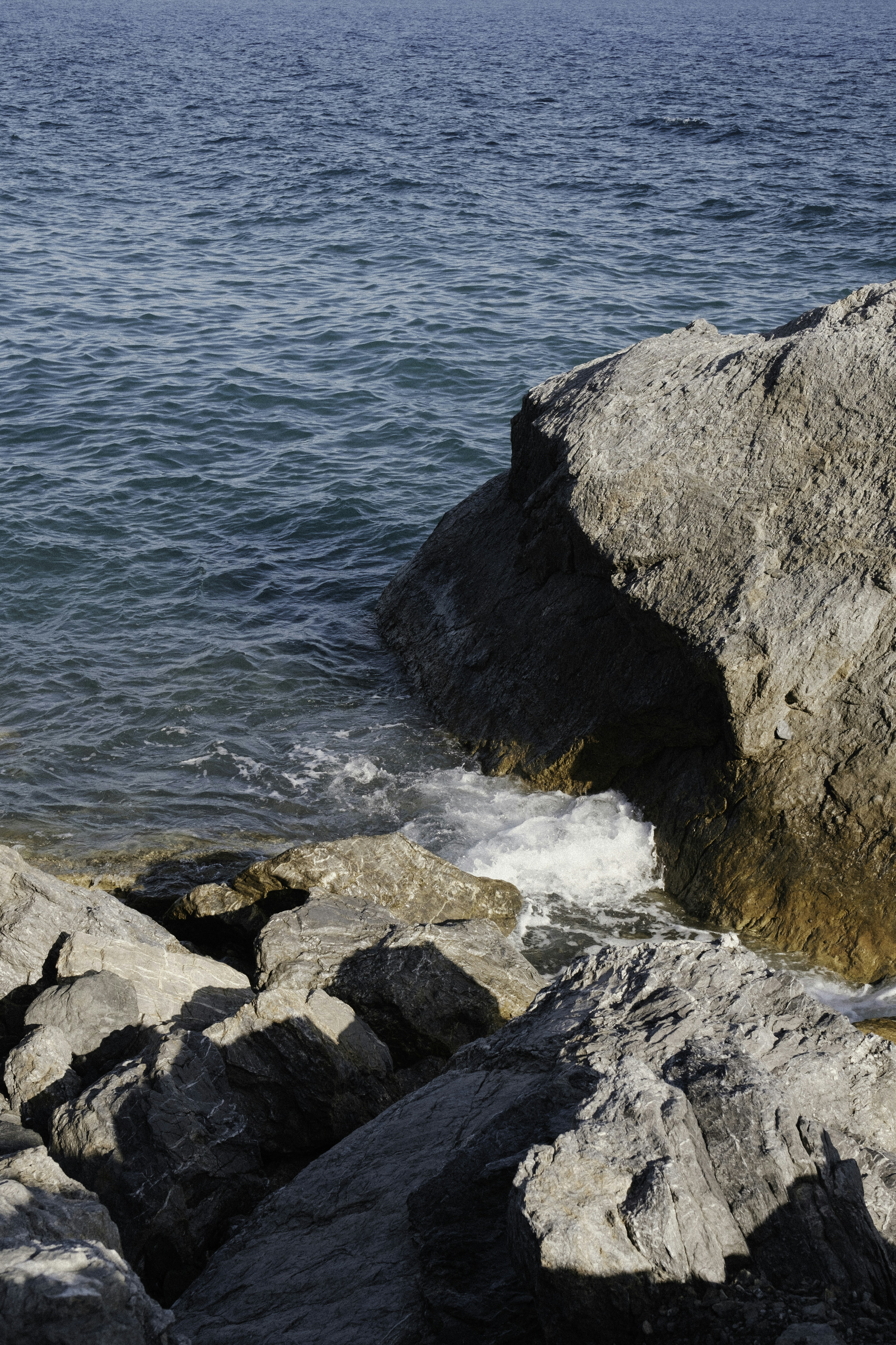 Photo by martin_siblik