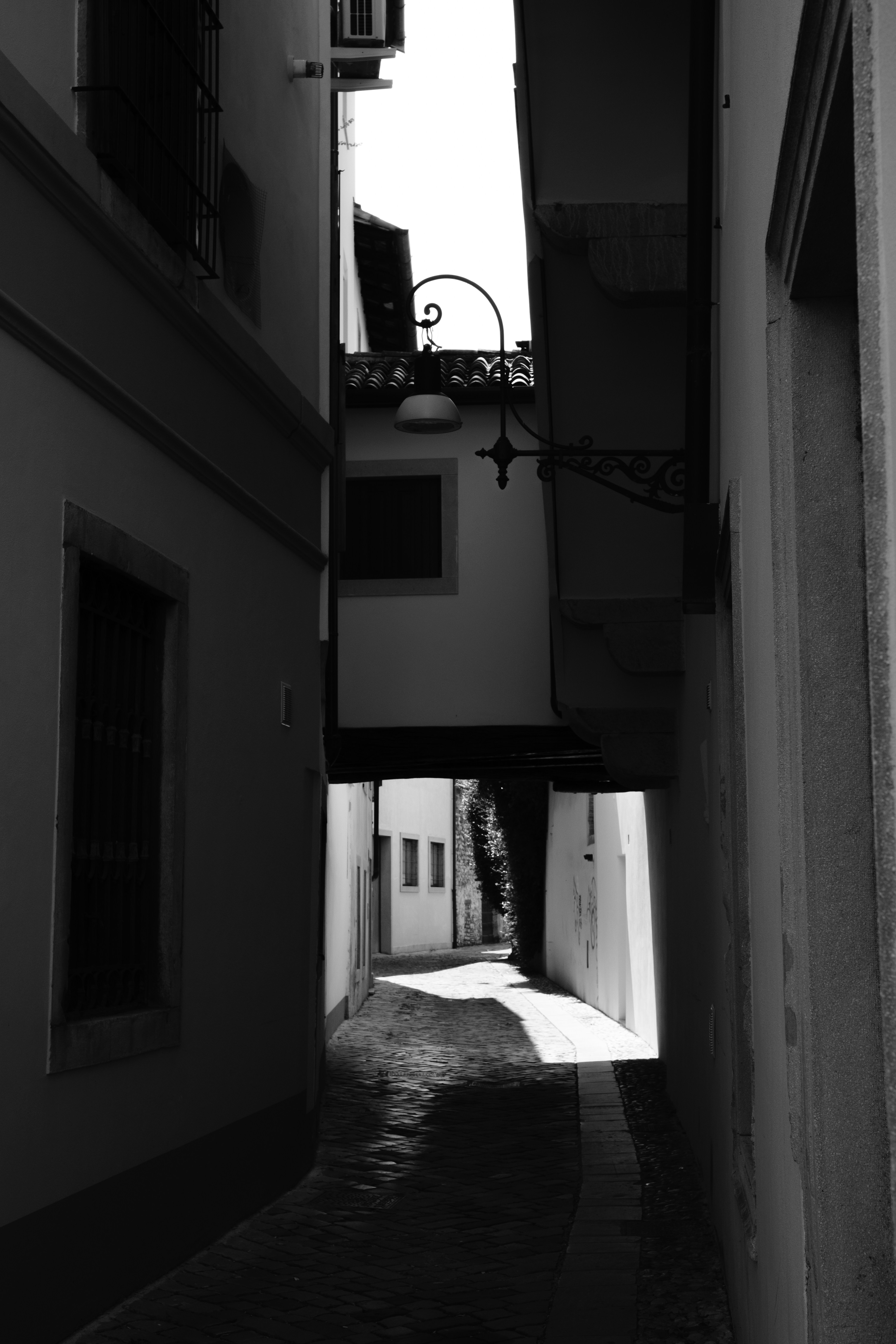 Photo by martin_siblik