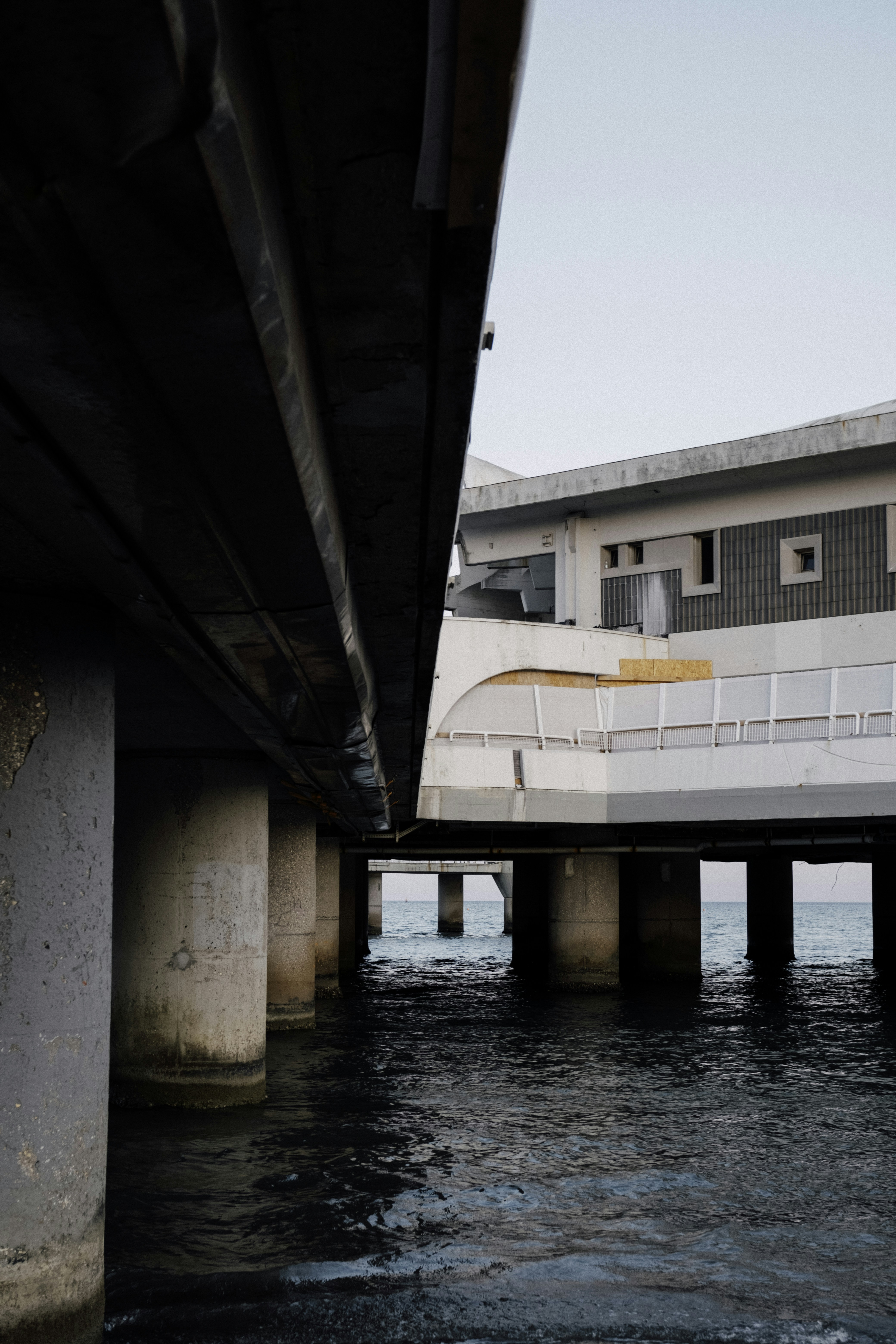 Photo by martin_siblik