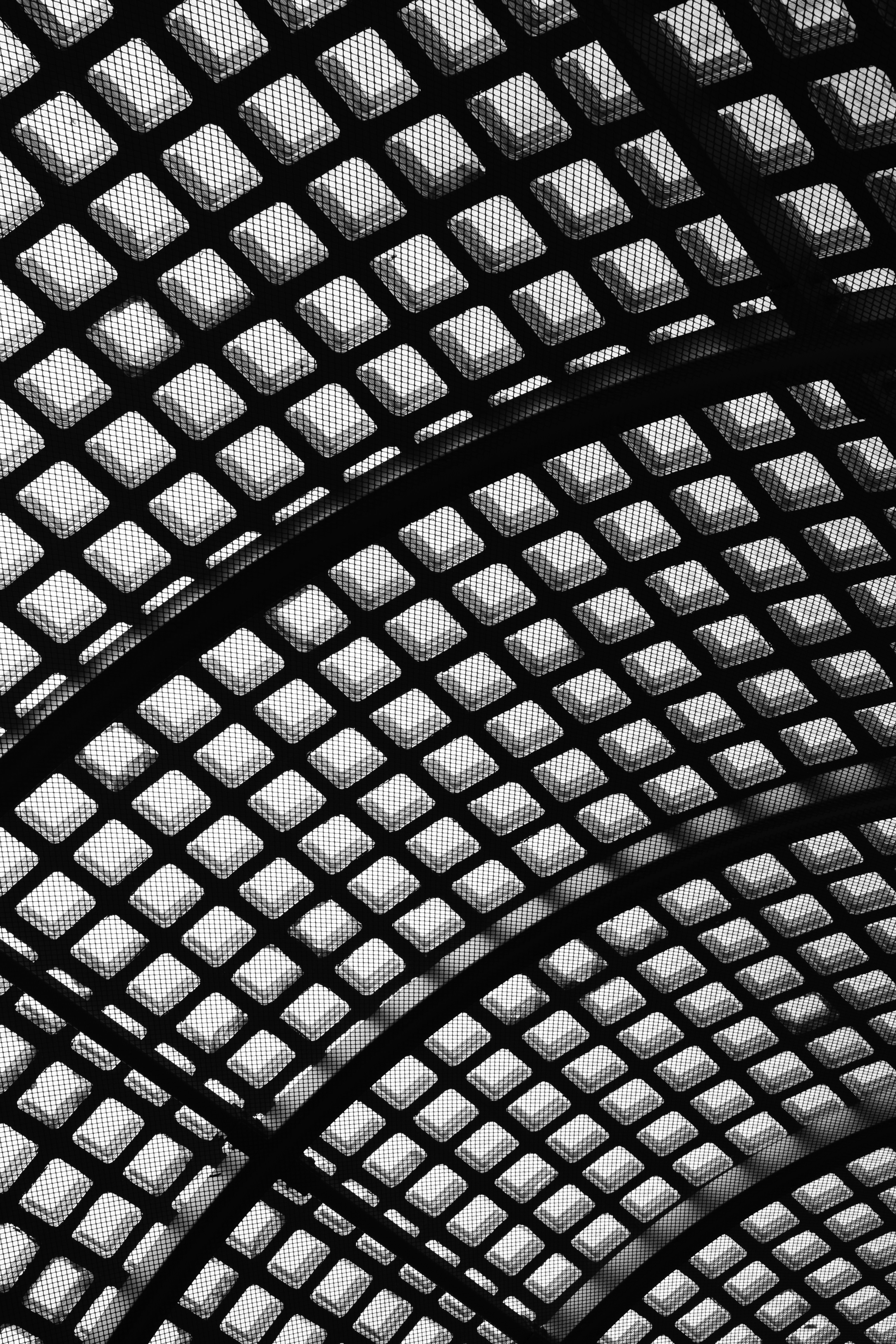 Photo by martin_siblik