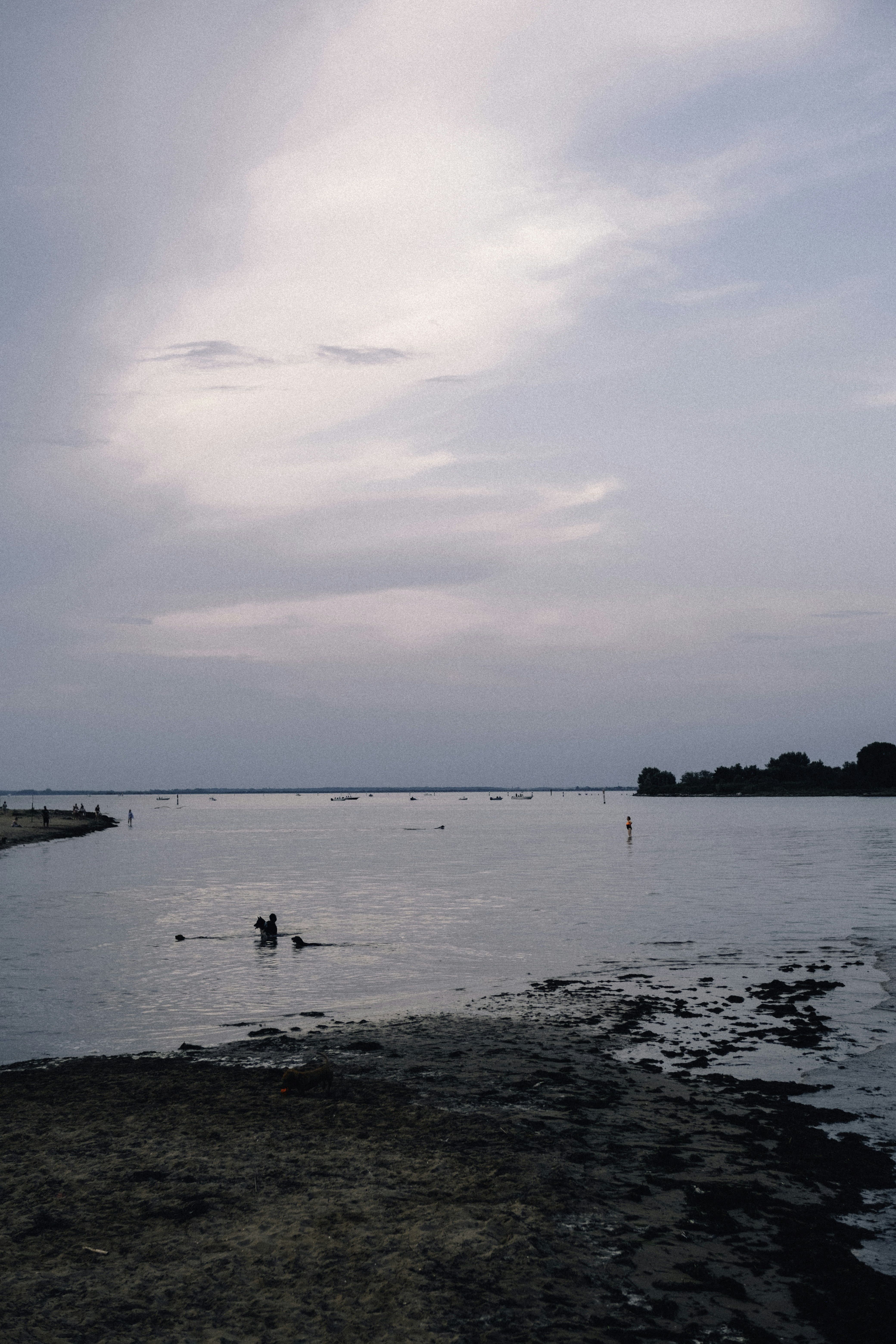 Photo by martin_siblik