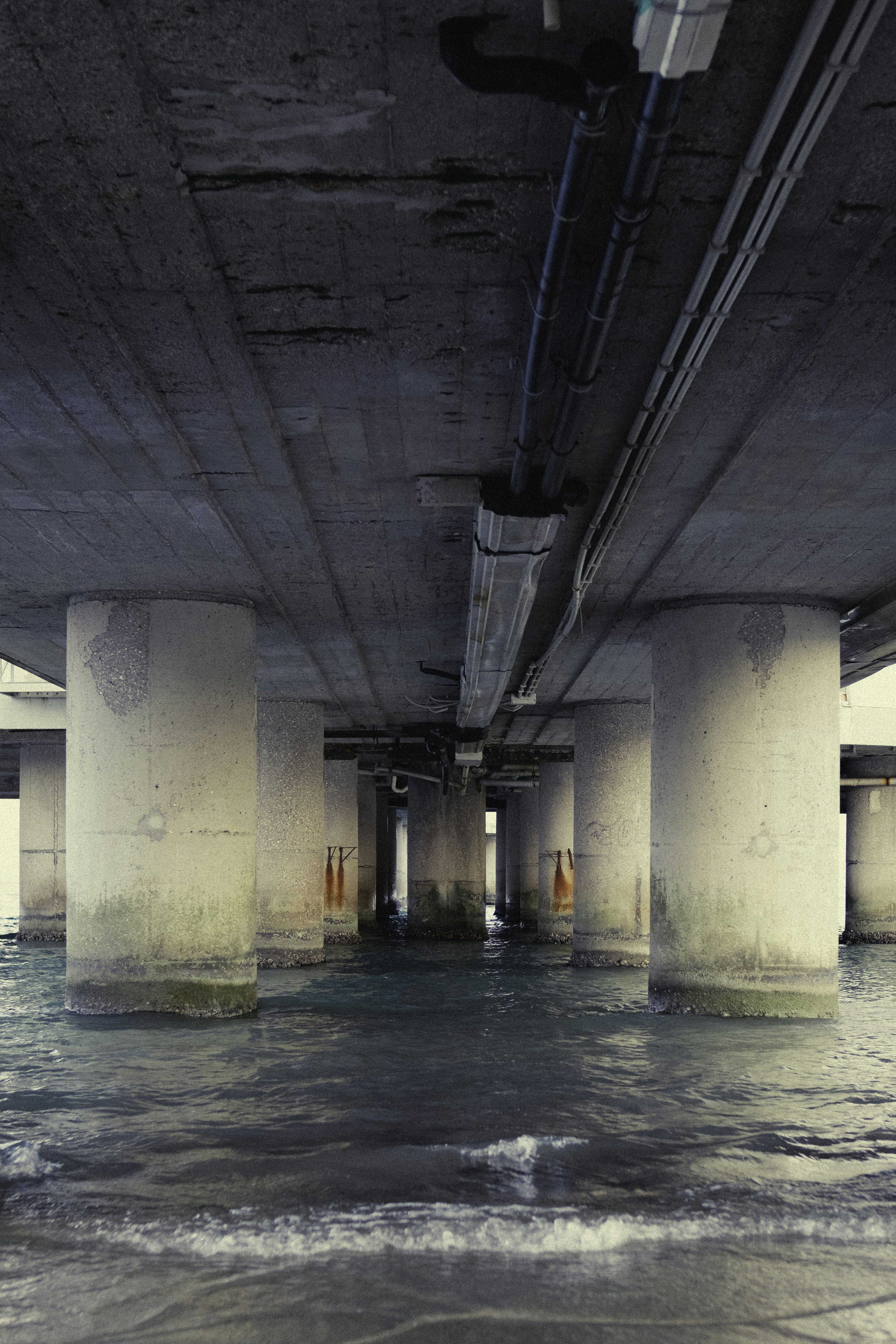 Photo by martin_siblik