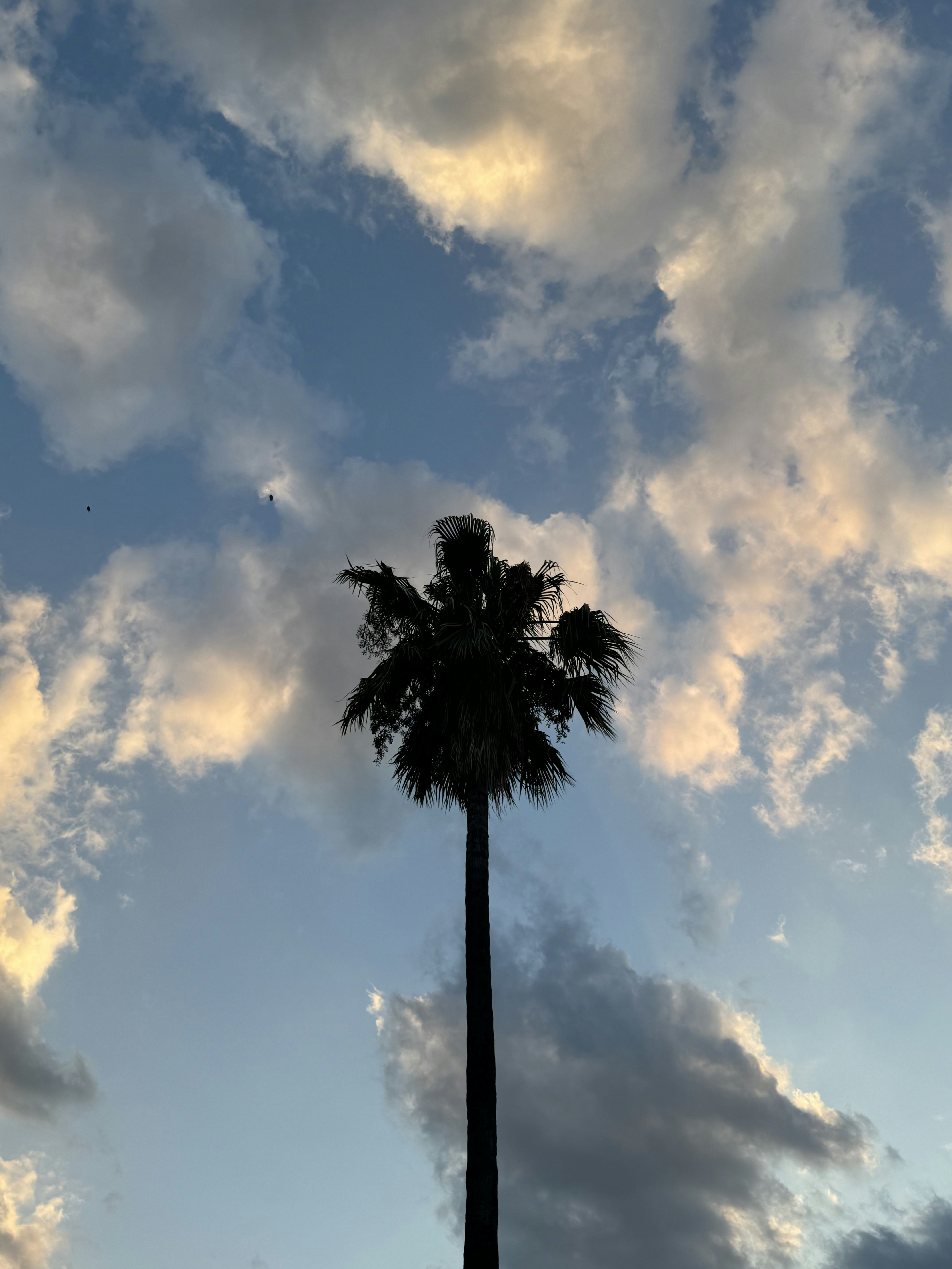 Photo by nicoleannamagdalena
