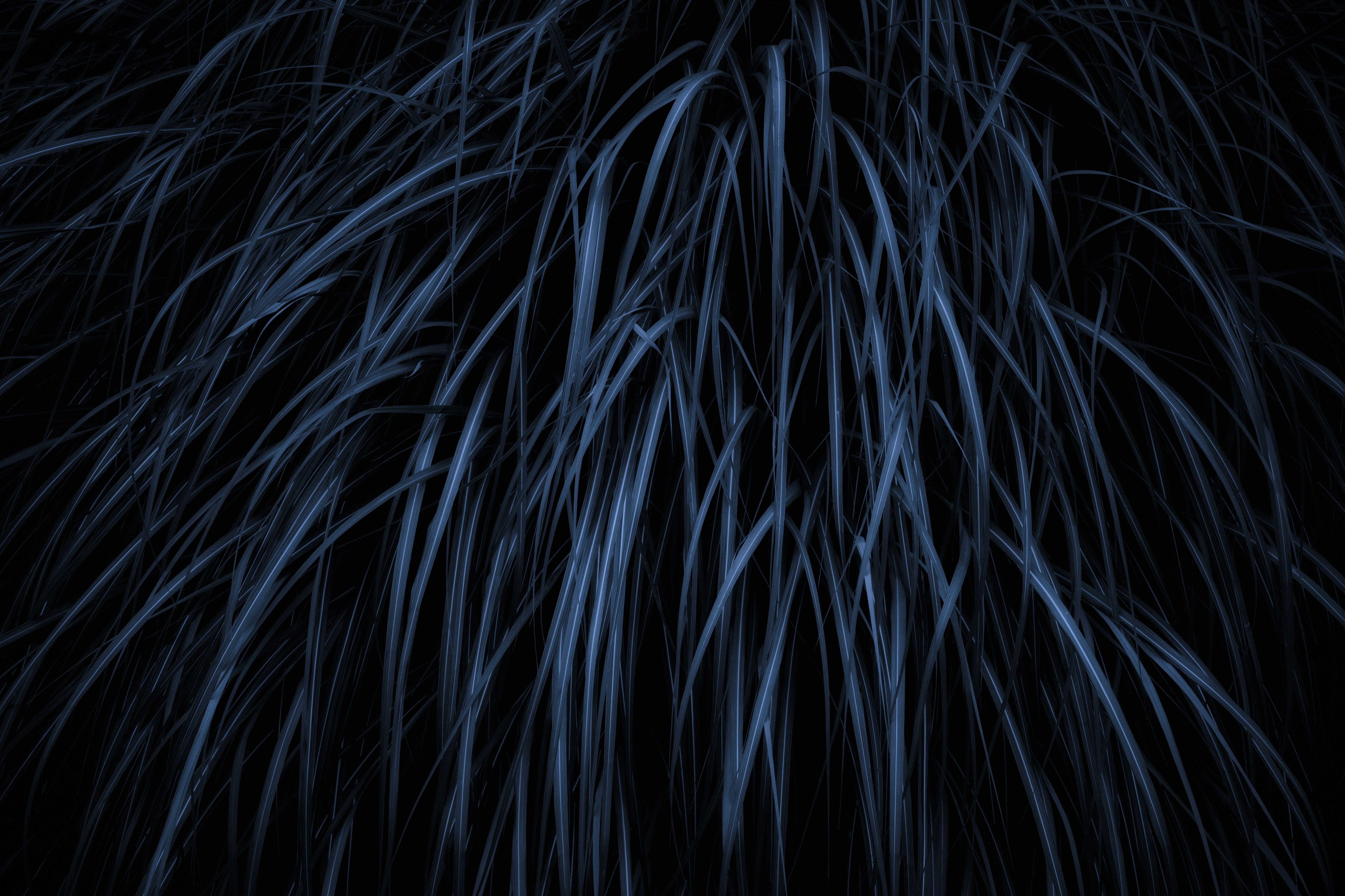 A black and blue background with lots of blue feathers