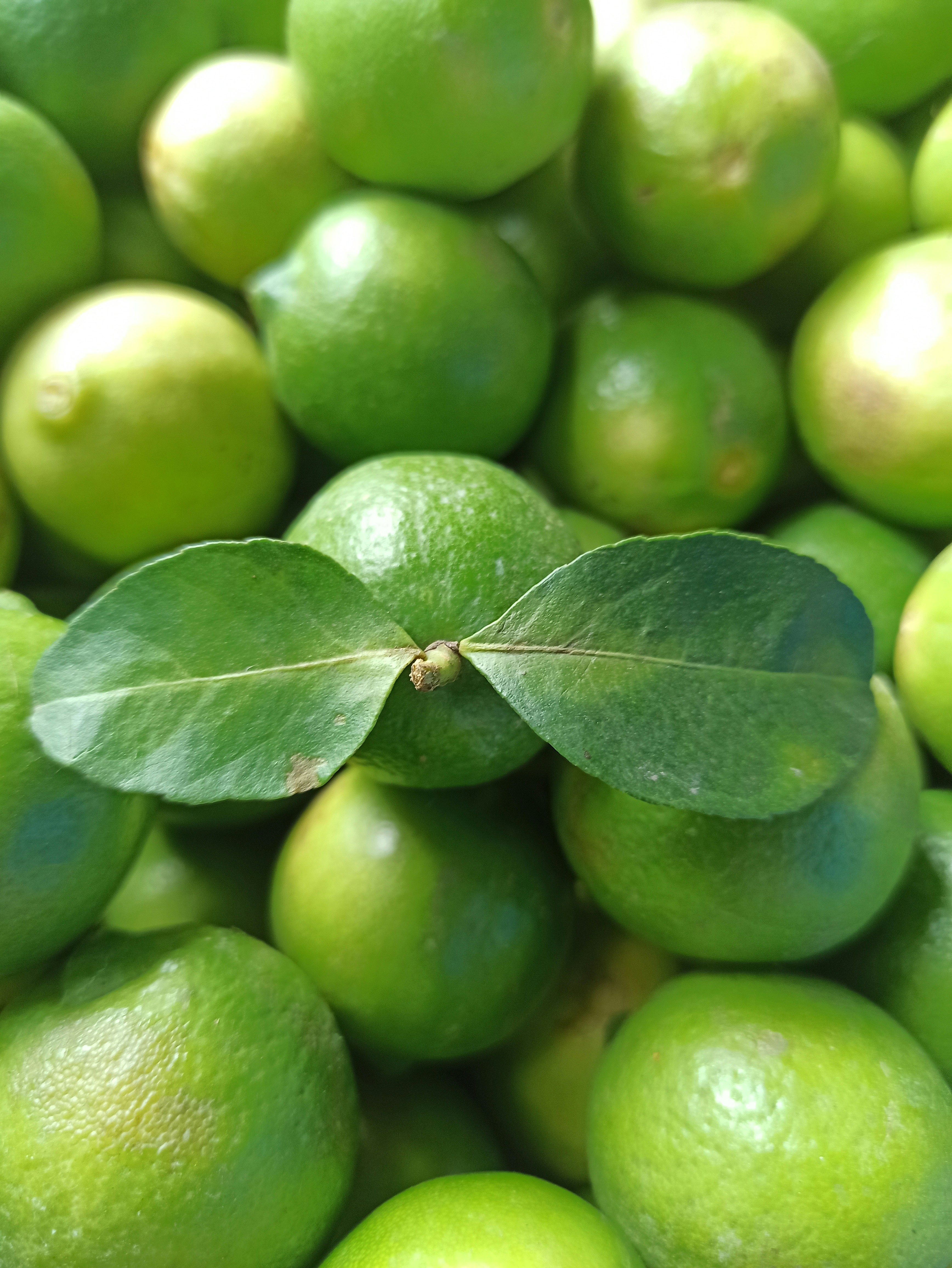 Tumpukan jeruk nipis dengan daun di atasnya