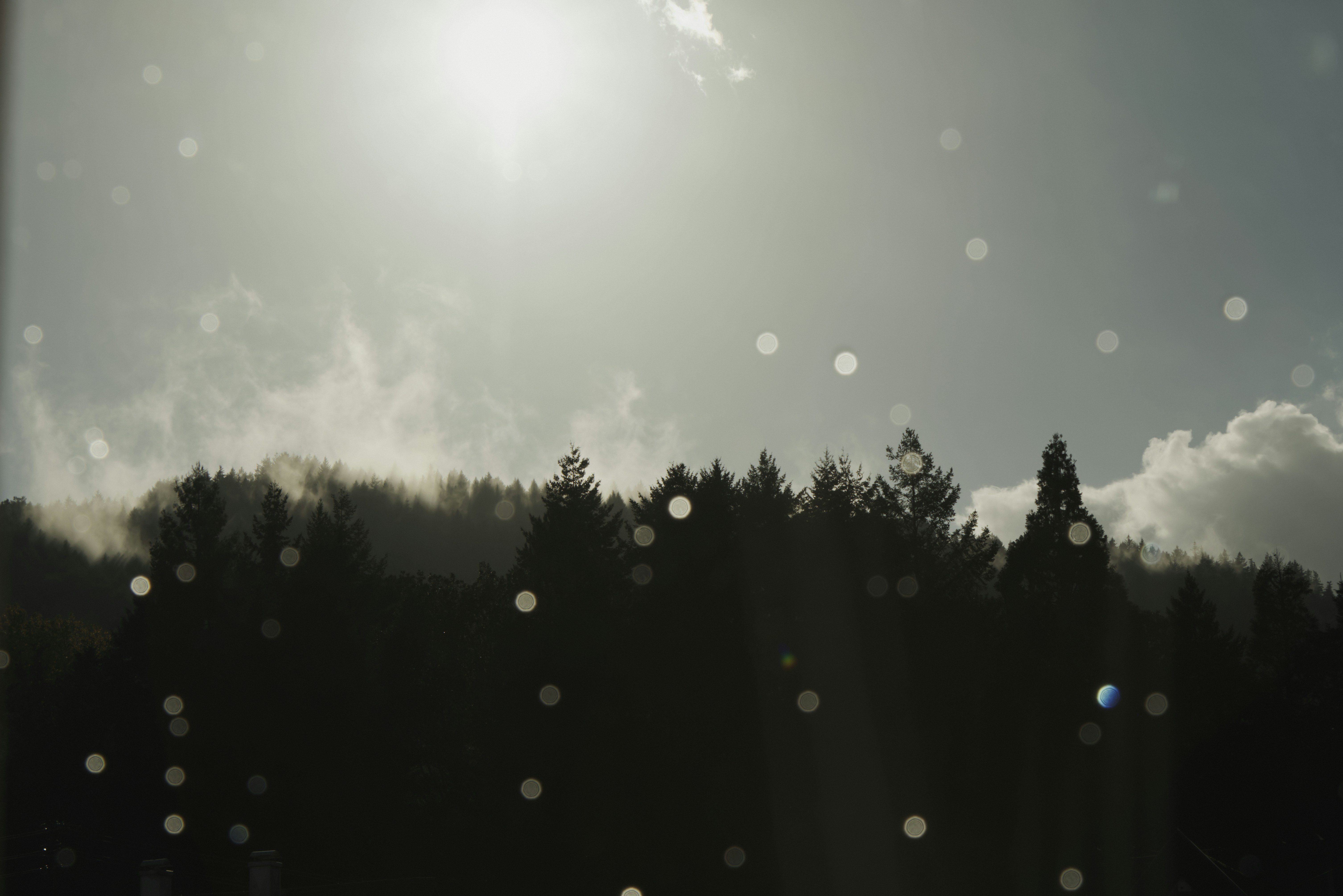 Photo by softlyglimmer