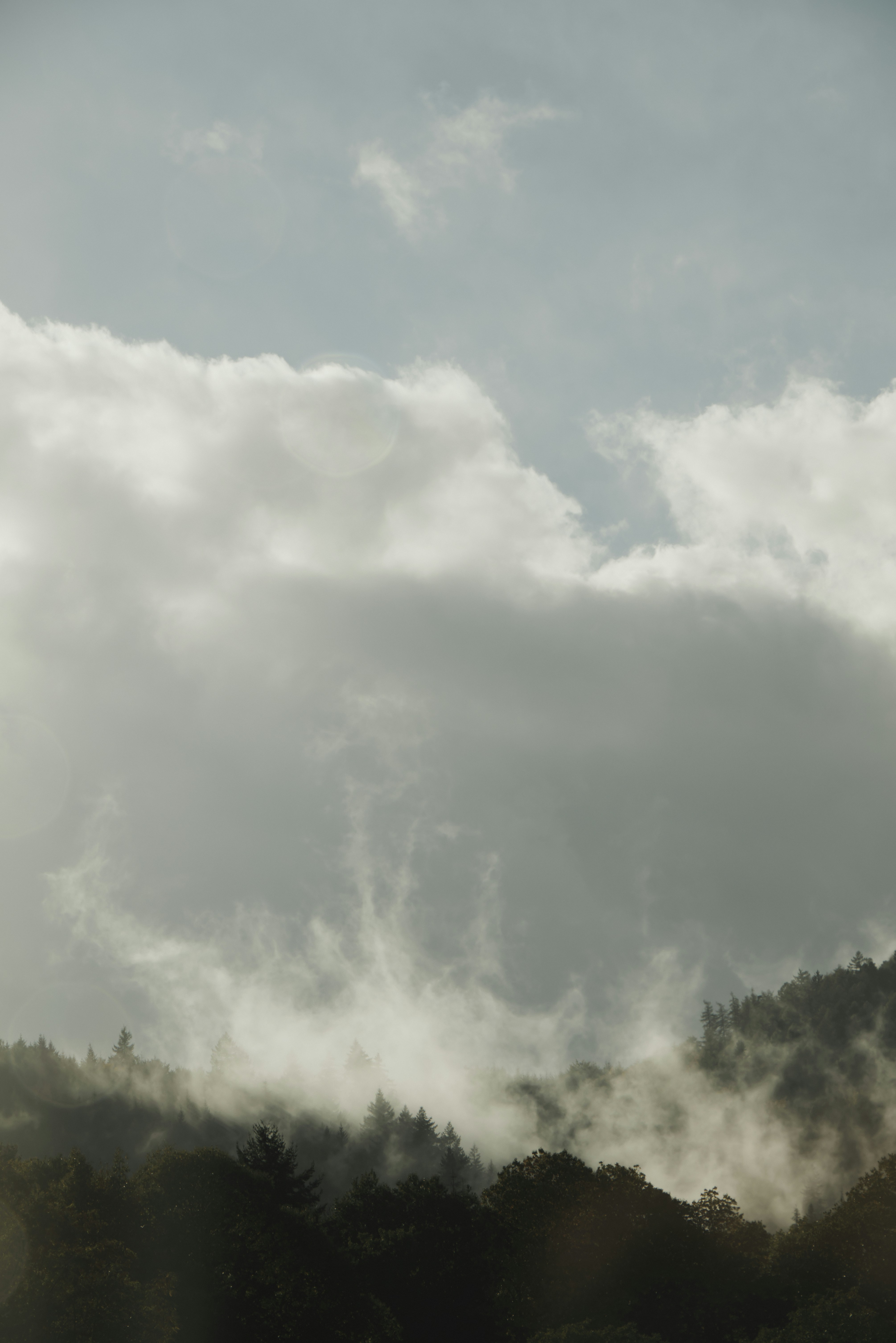 Photo by softlyglimmer