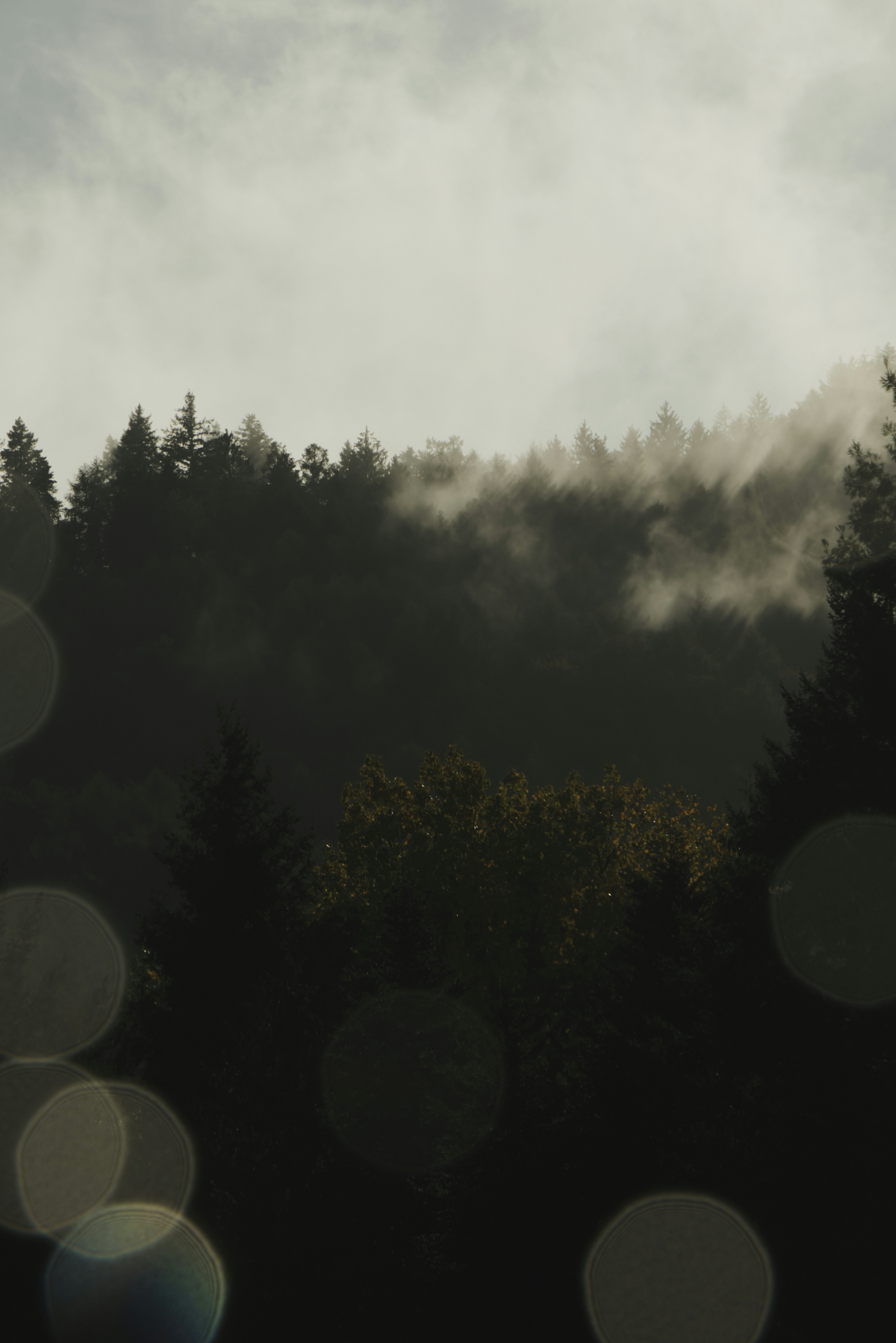 Photo by softlyglimmer