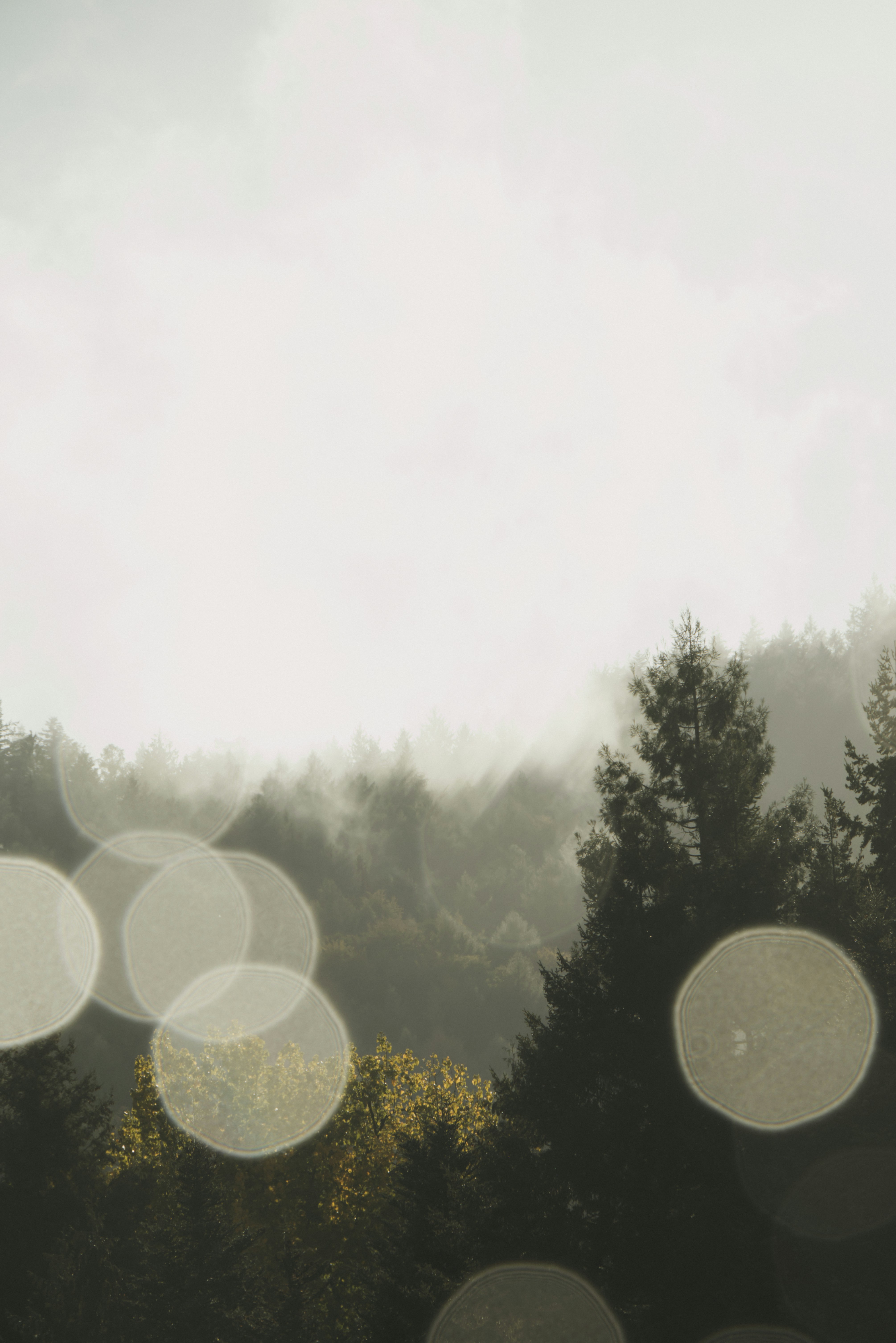 Photo by softlyglimmer