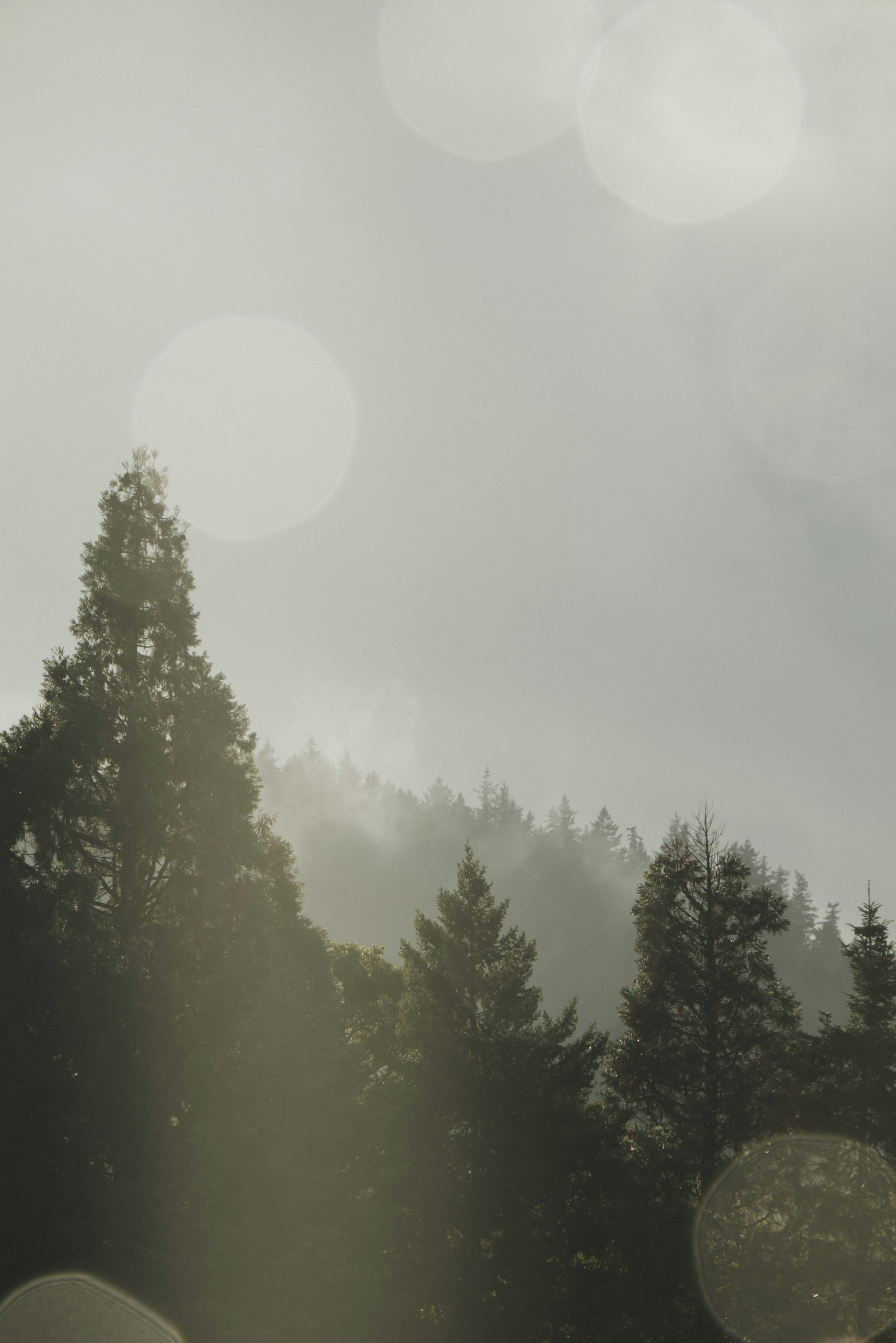 Photo by softlyglimmer