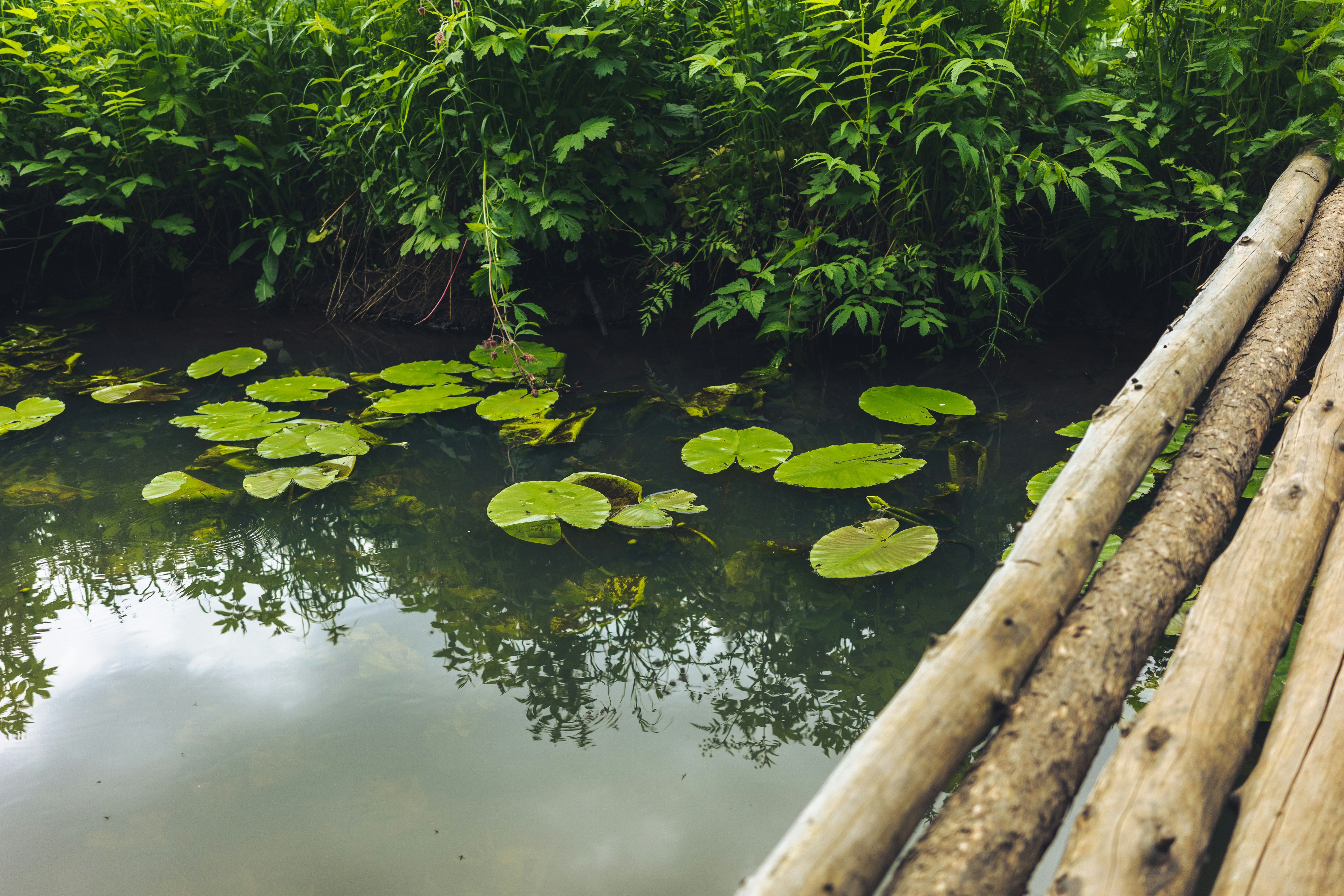 Photo by mirrors_are_more_fun