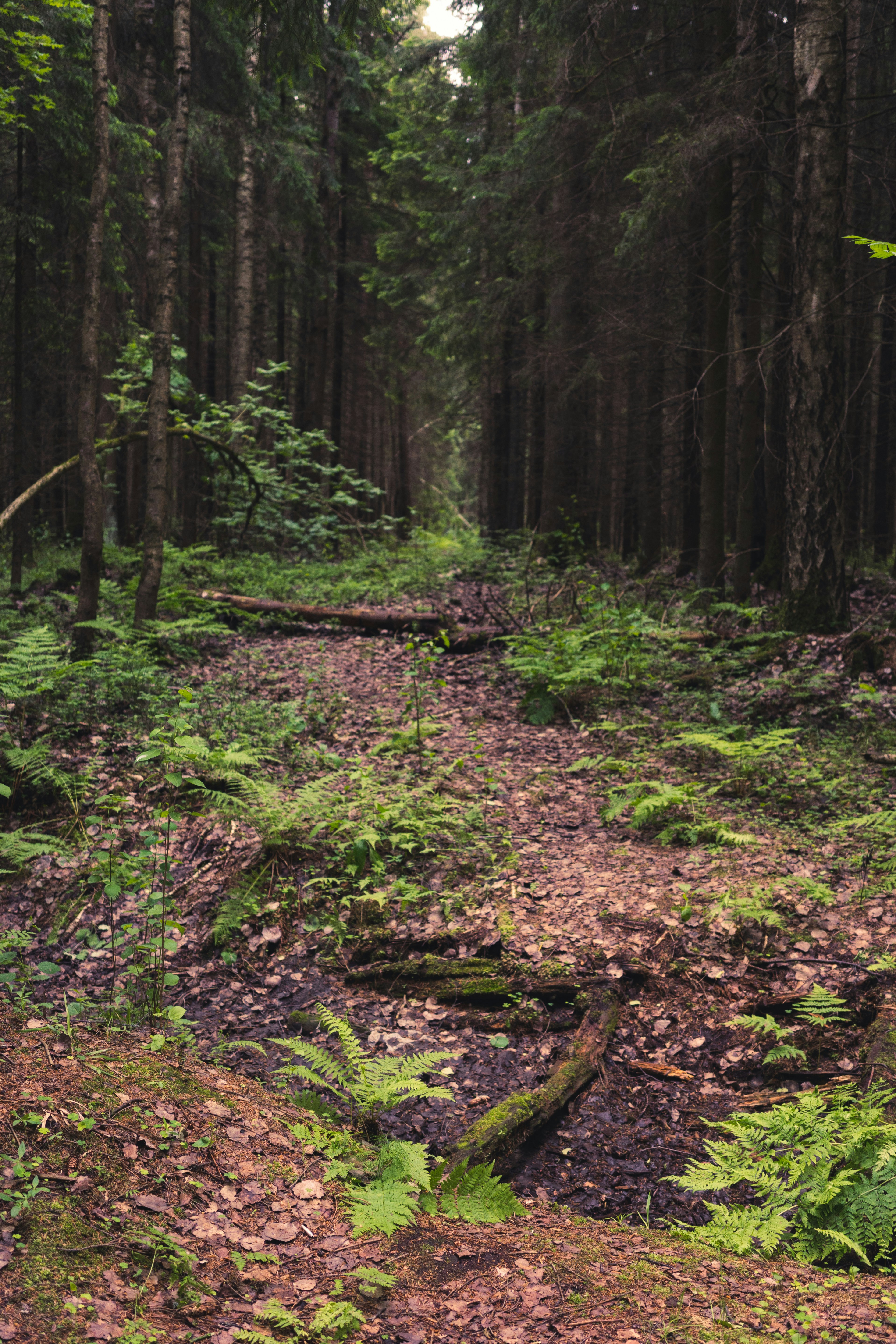 Photo by mirrors_are_more_fun