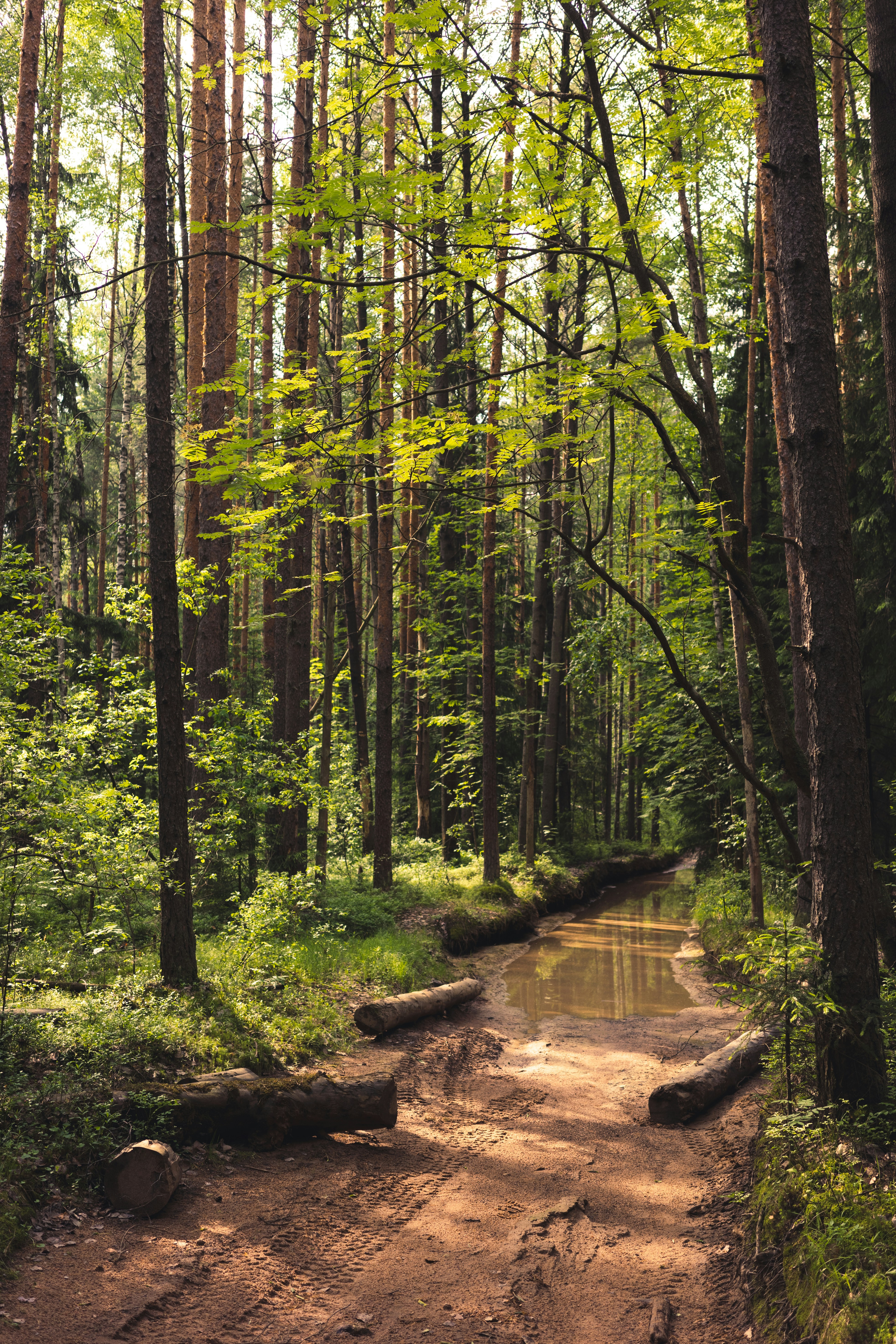 Photo by mirrors_are_more_fun