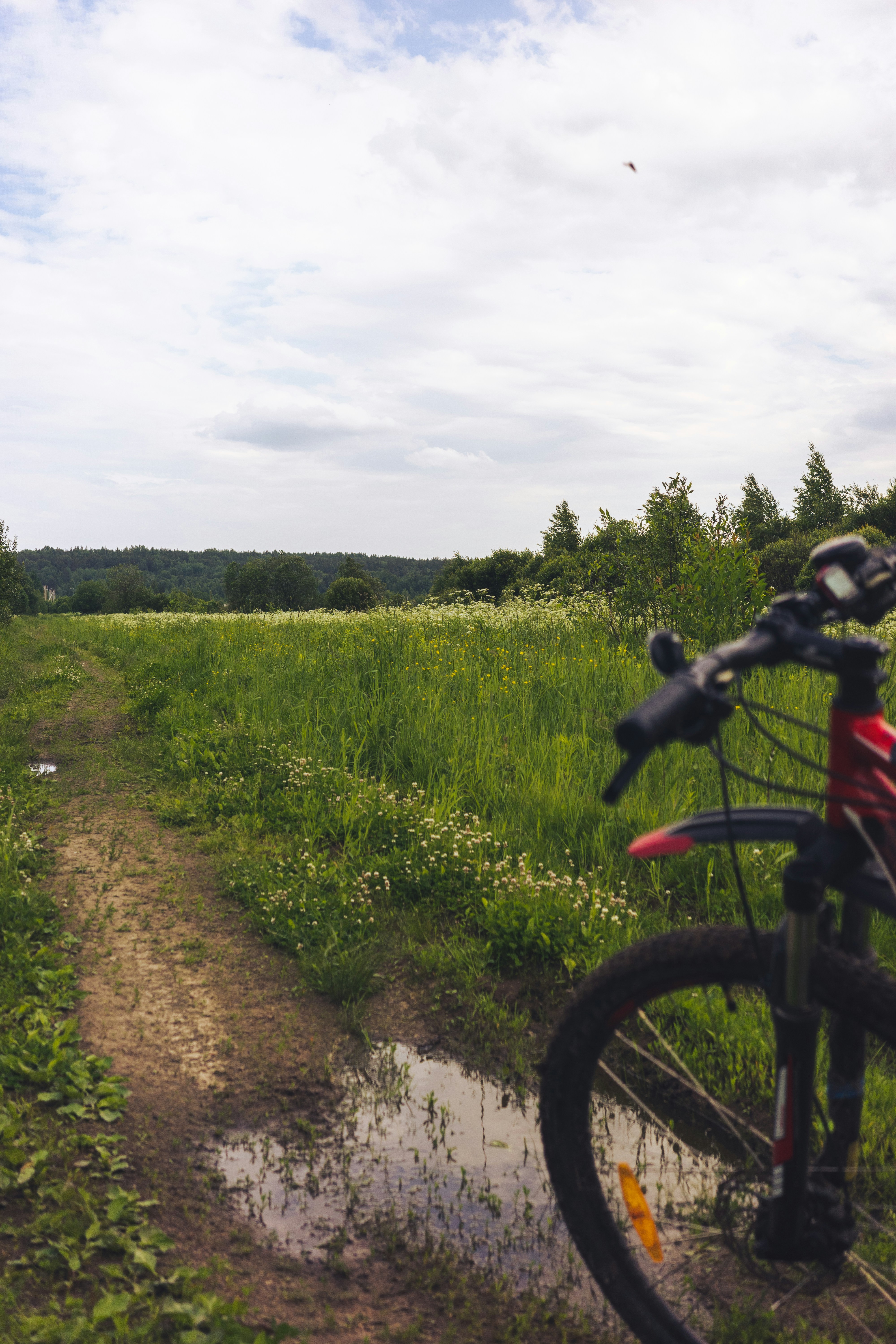 Photo by mirrors_are_more_fun