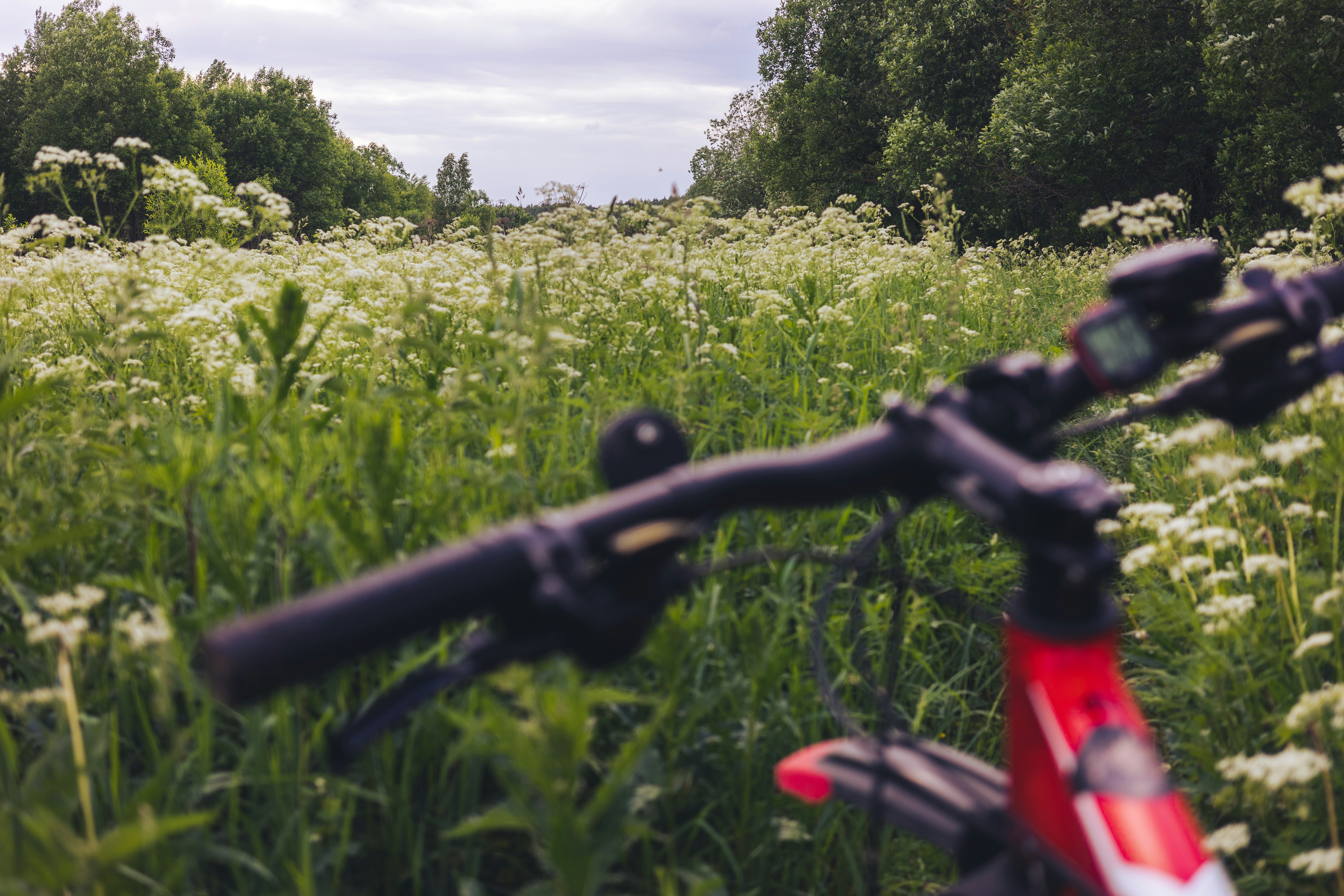 Photo by mirrors_are_more_fun