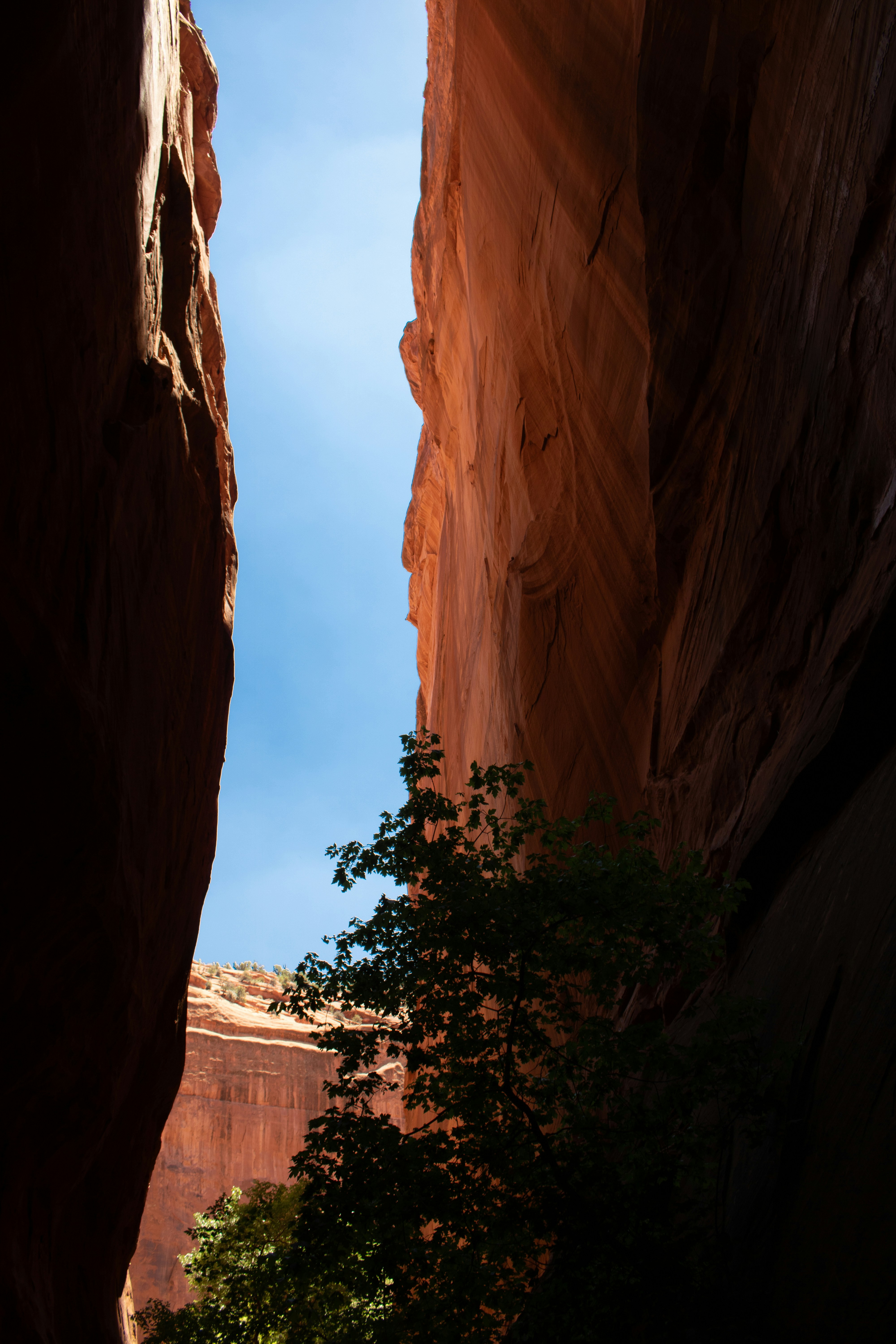 Photo by zoshuacolah