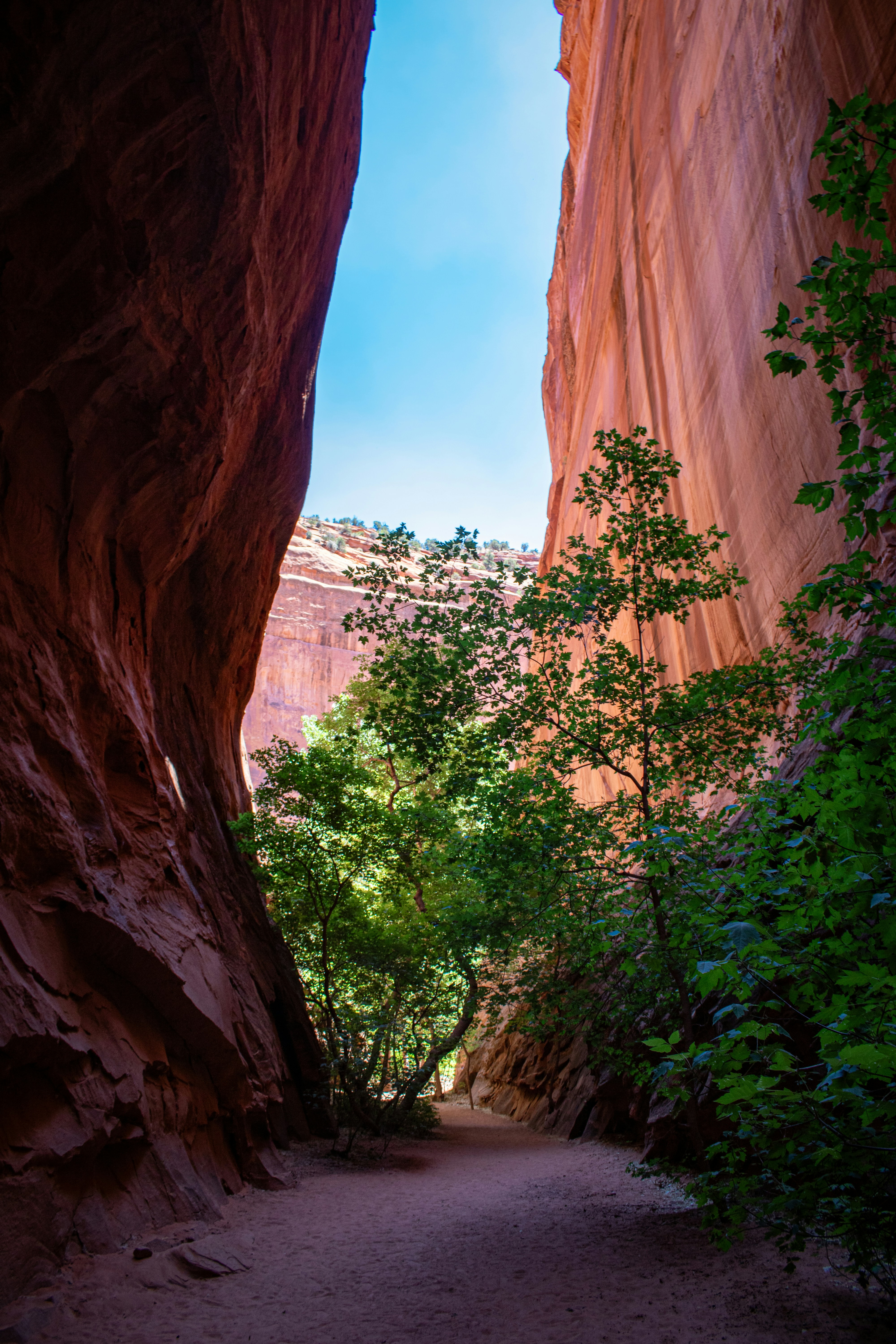 Photo by zoshuacolah