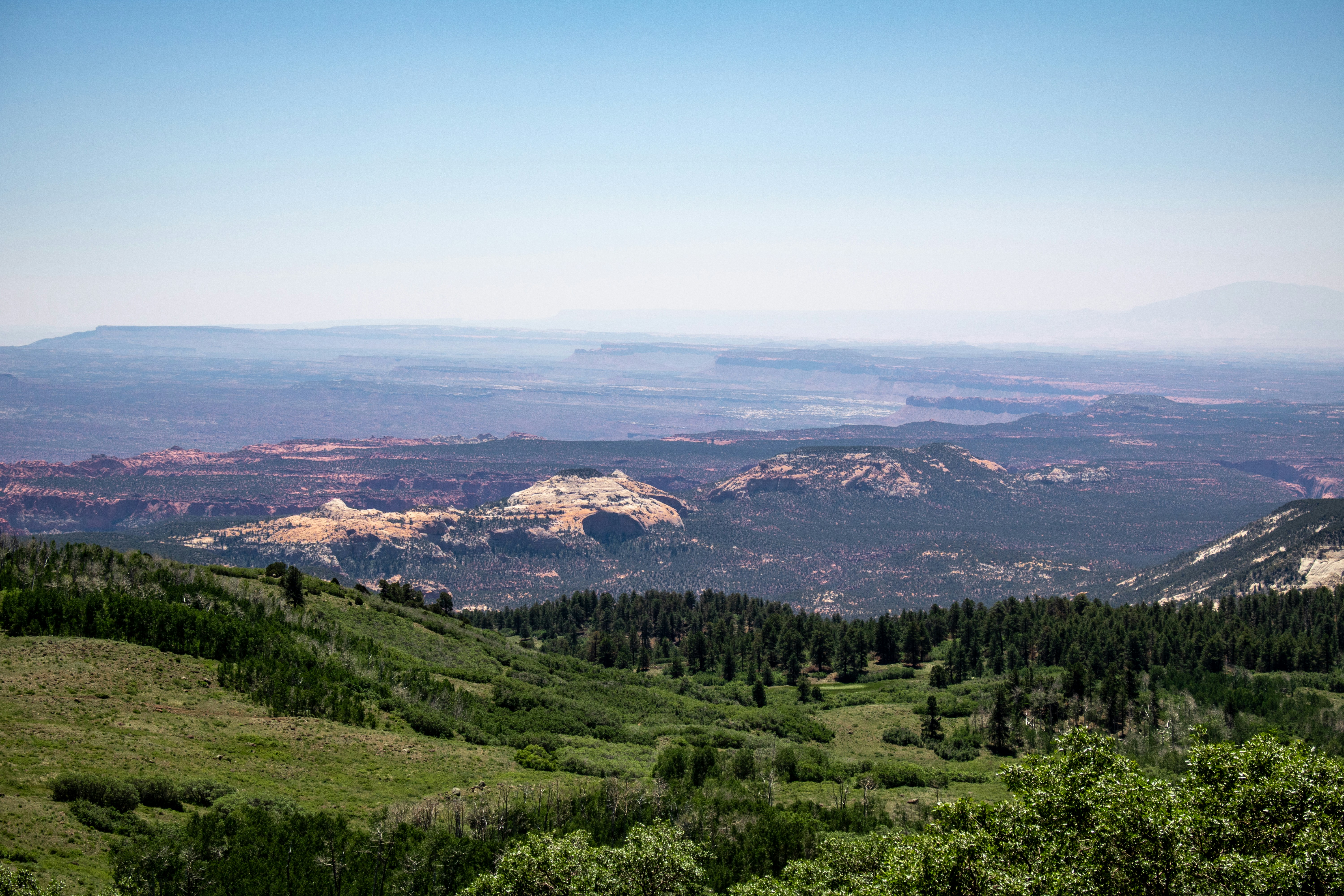 Photo by zoshuacolah