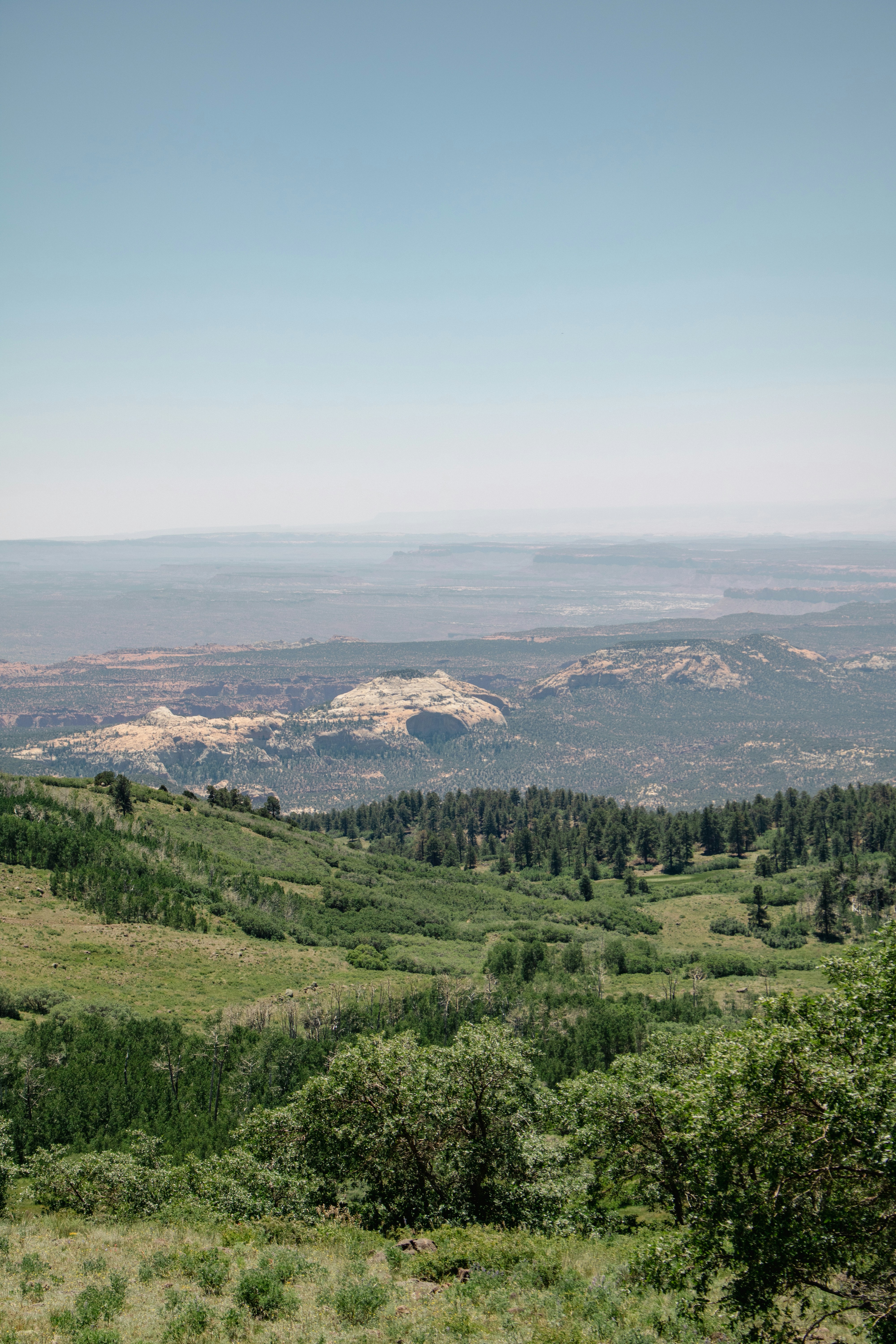 A scenic view of a valley with trees and mountains in the background