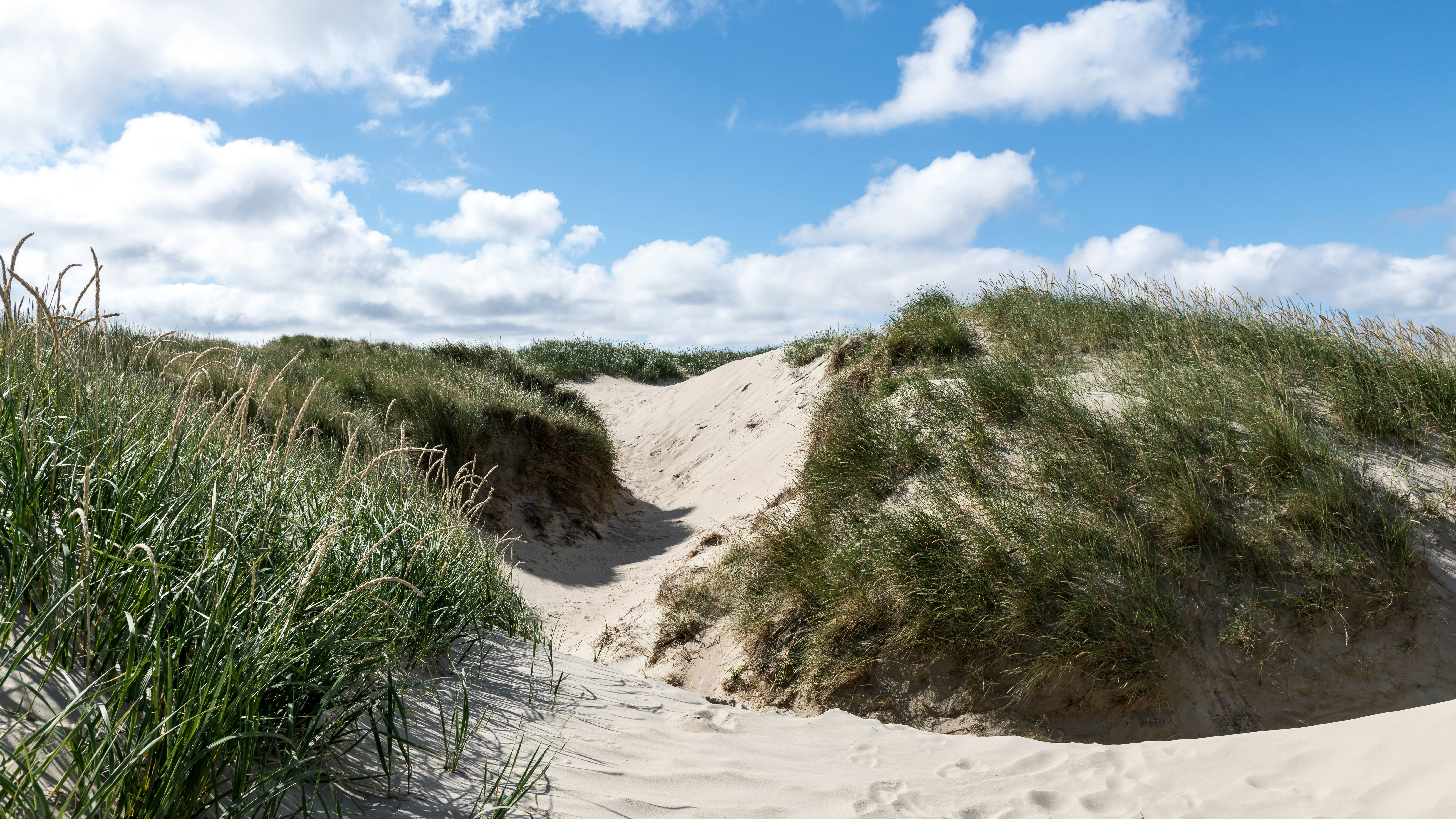 Photo by hamburgmeinefreundin