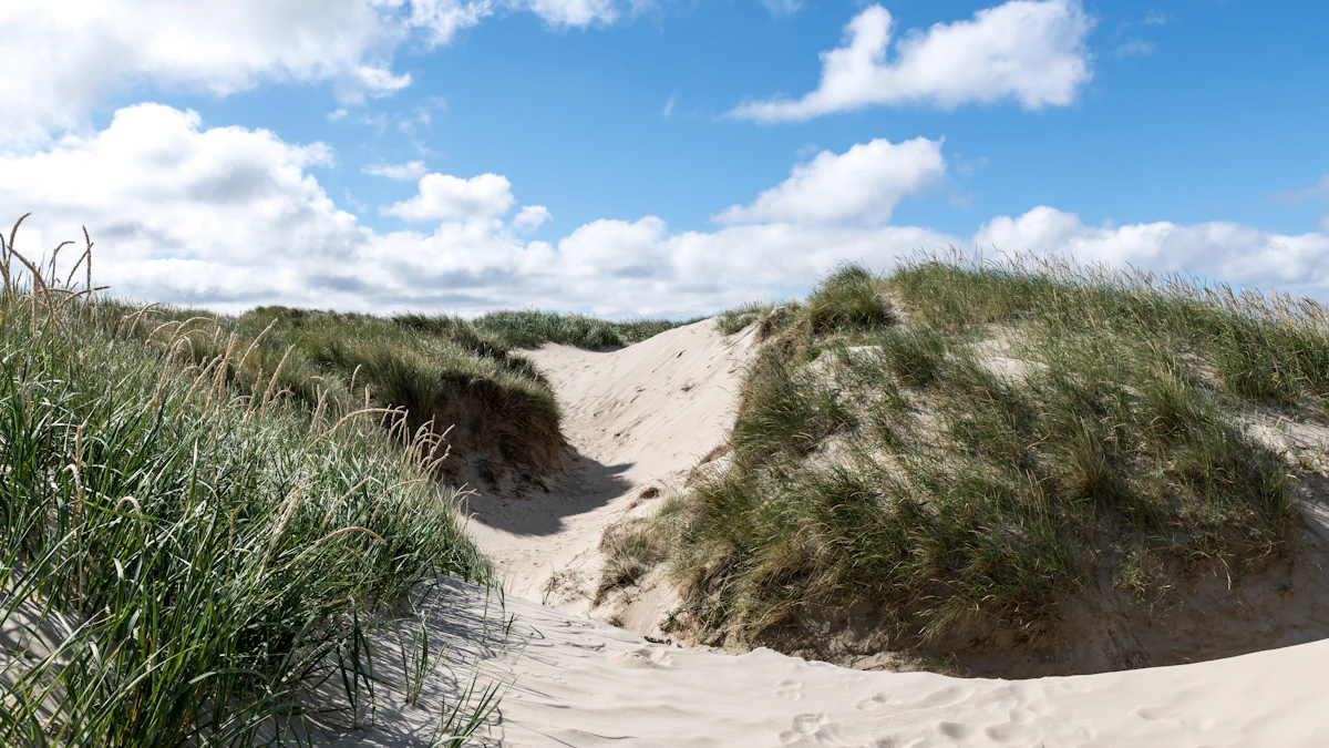Shelter i nationalparker – find naturens bedste pladser