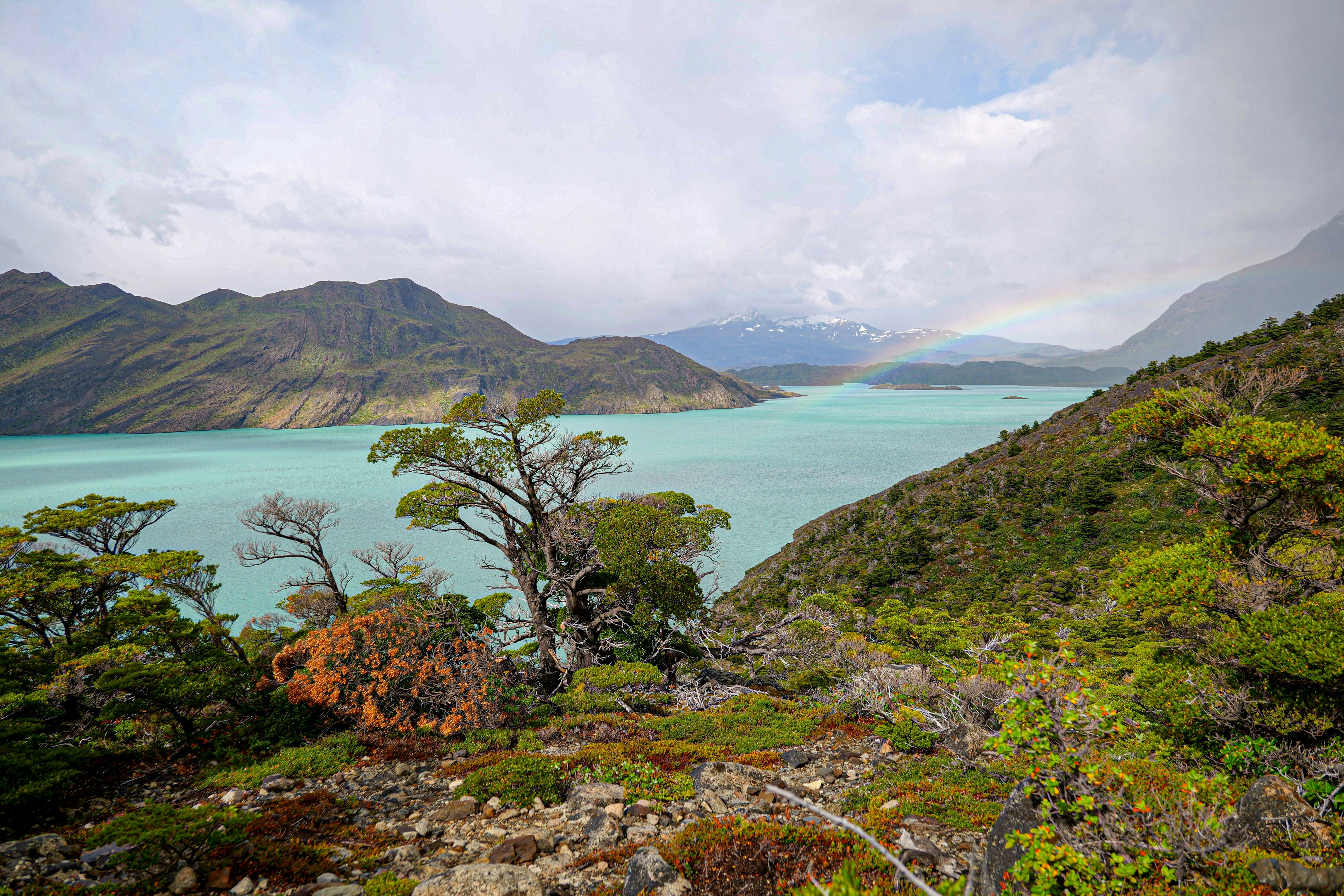 Photo by carter_obasohan